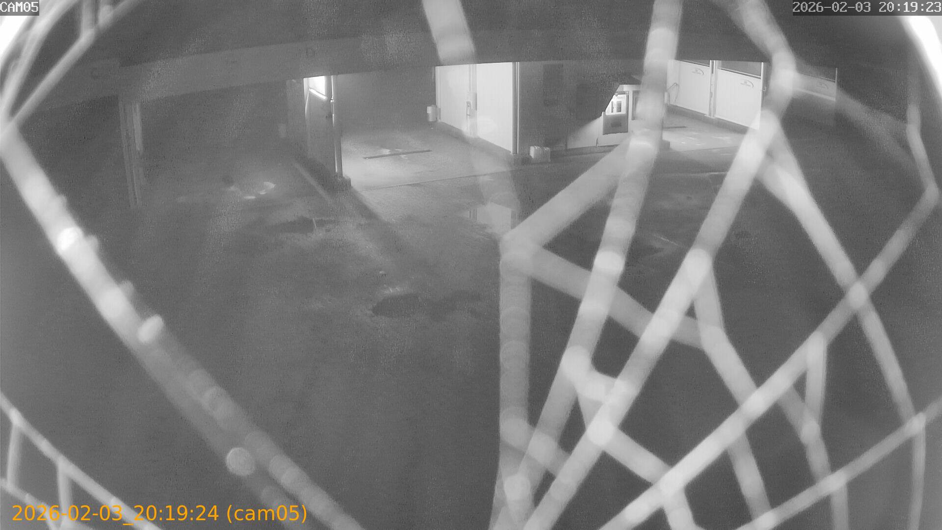 thumbnail_20260203201924