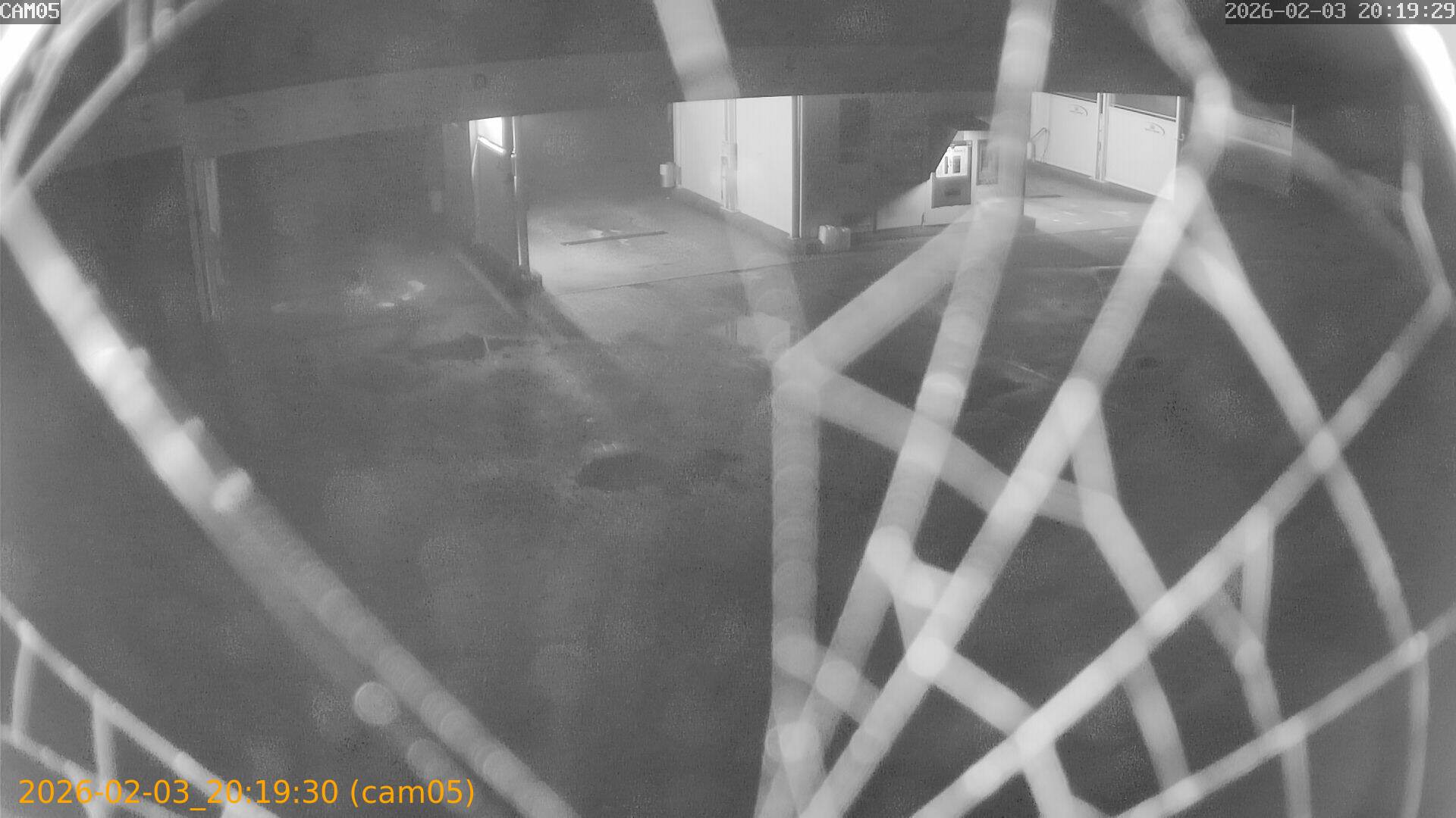 thumbnail_20260203201930