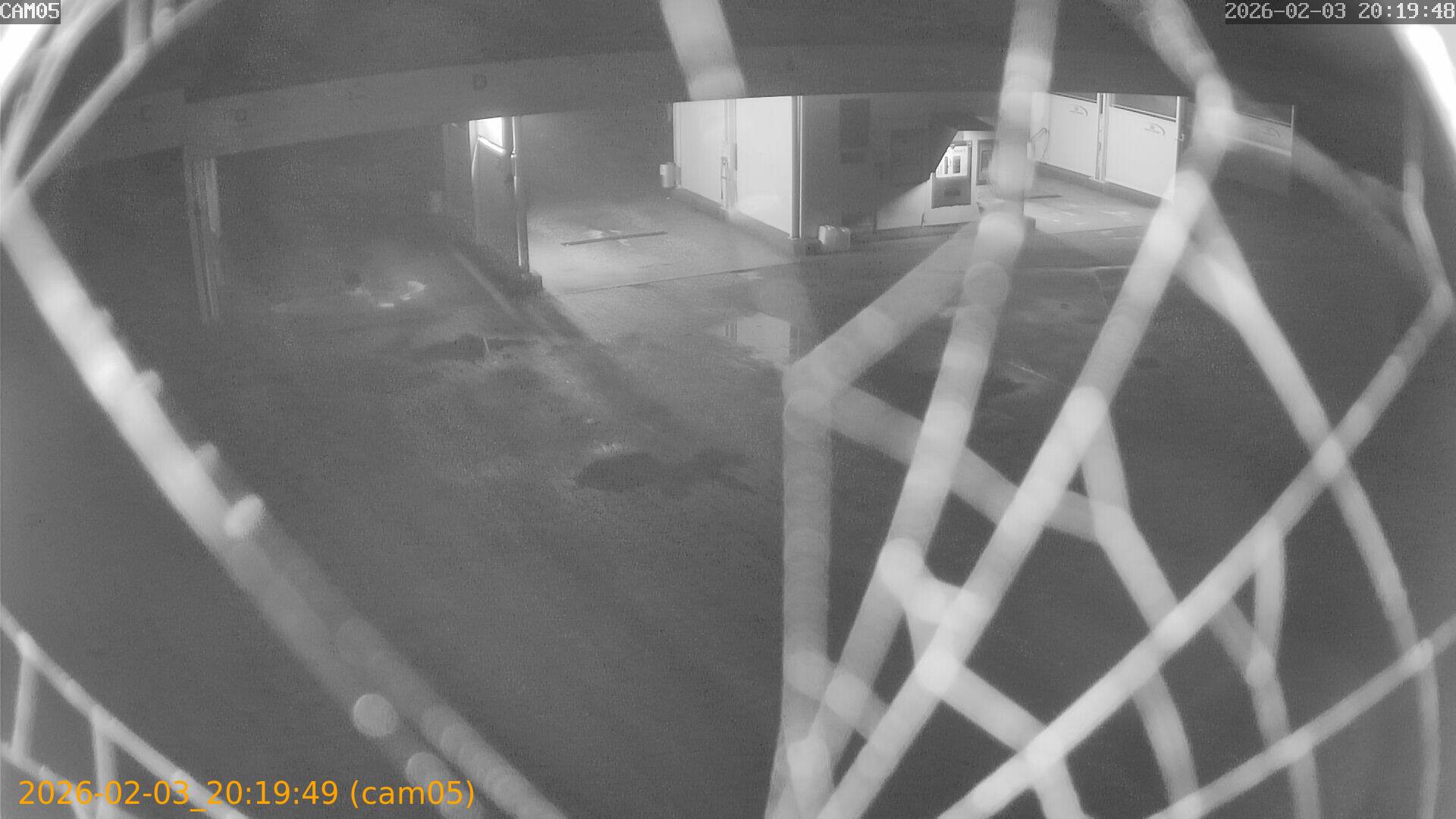 thumbnail_20260203201949