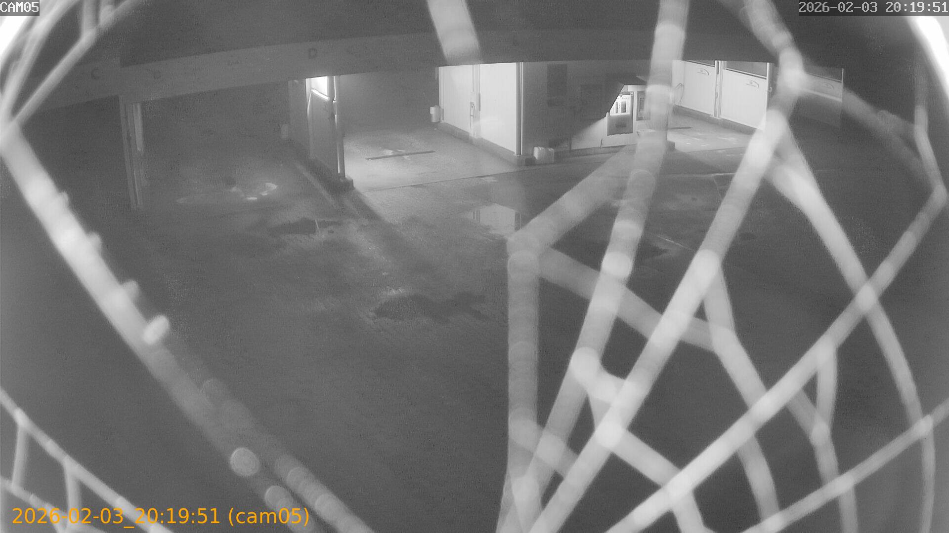 thumbnail_20260203201951