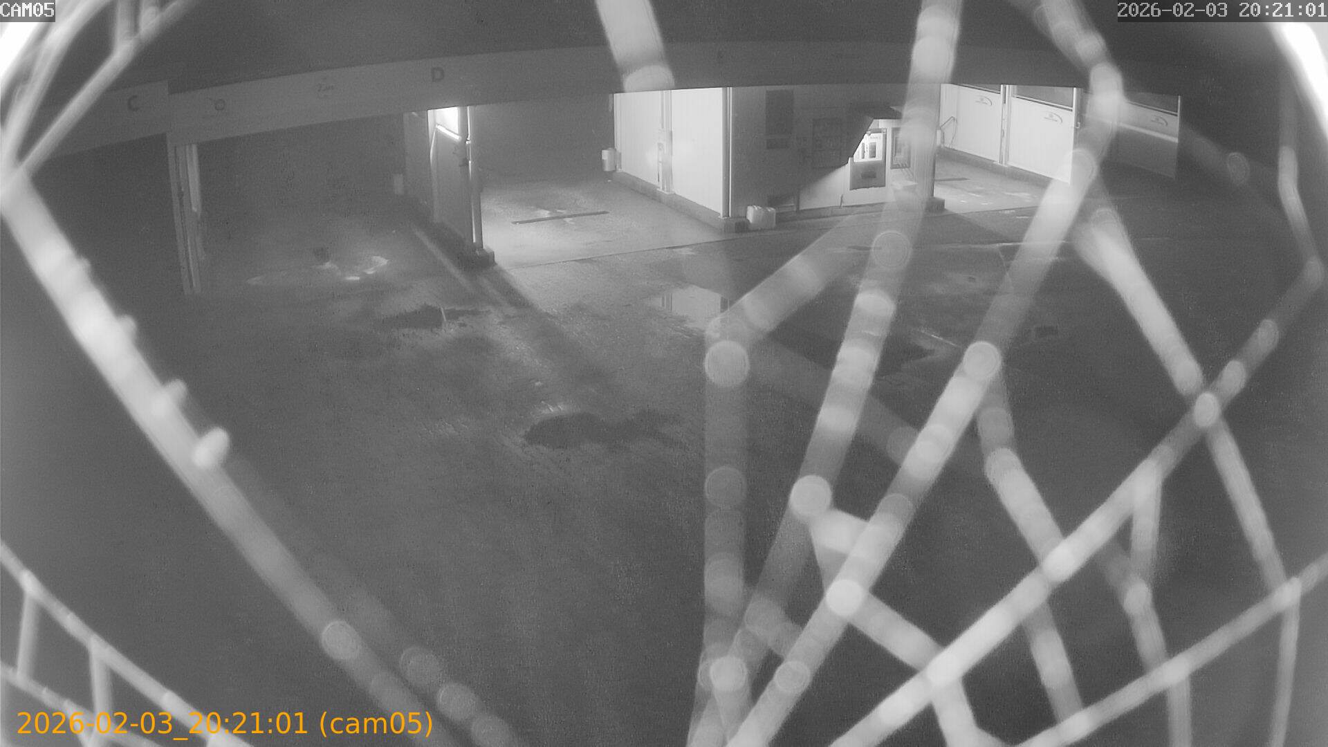 thumbnail_20260203202101