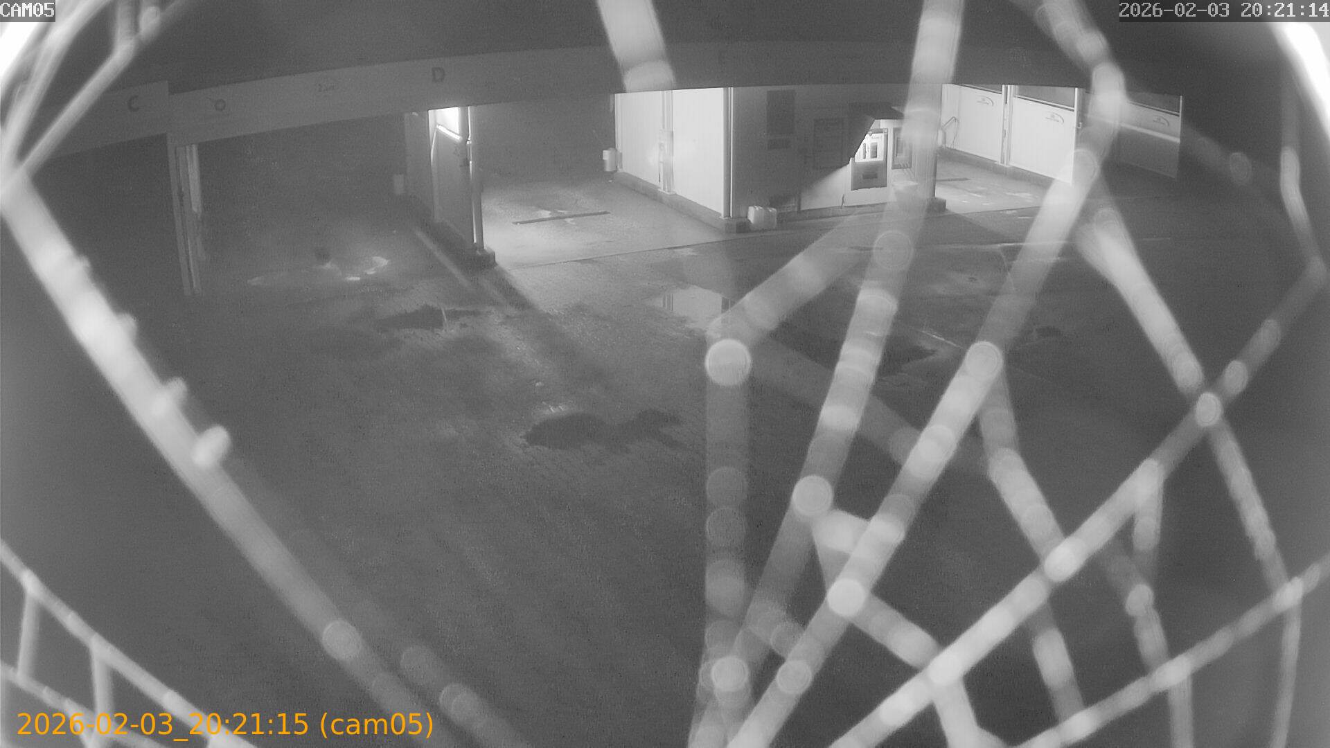 thumbnail_20260203202115