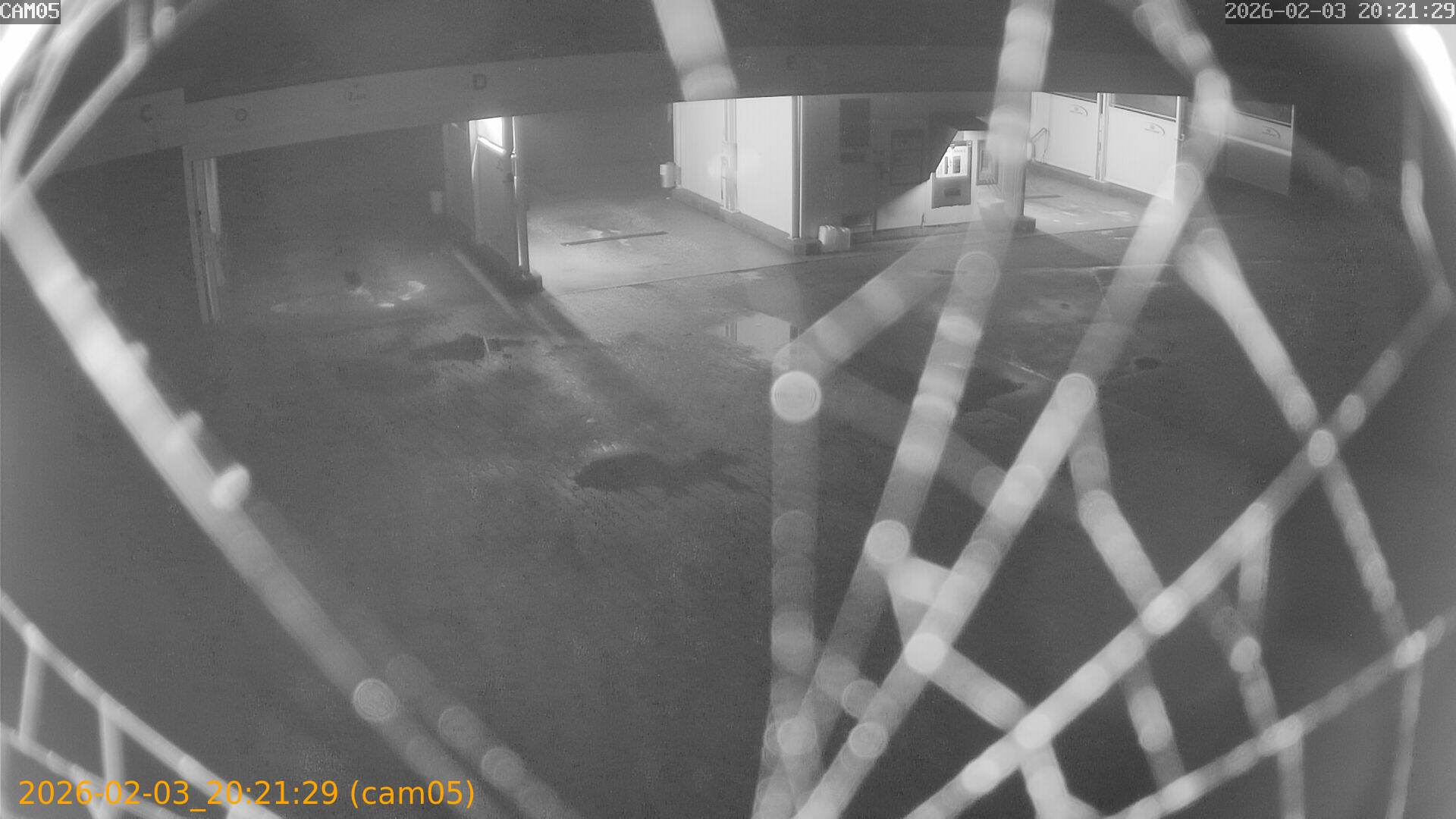 thumbnail_20260203202129