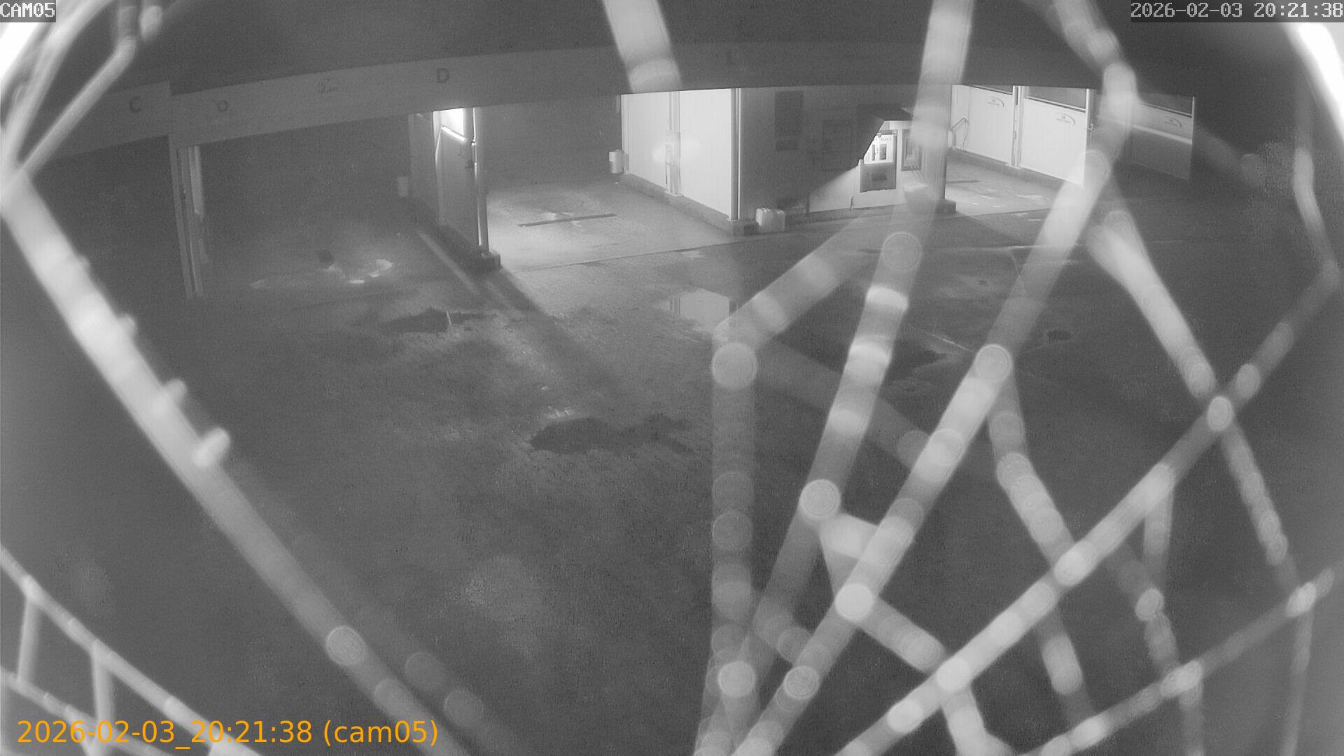 thumbnail_20260203202138