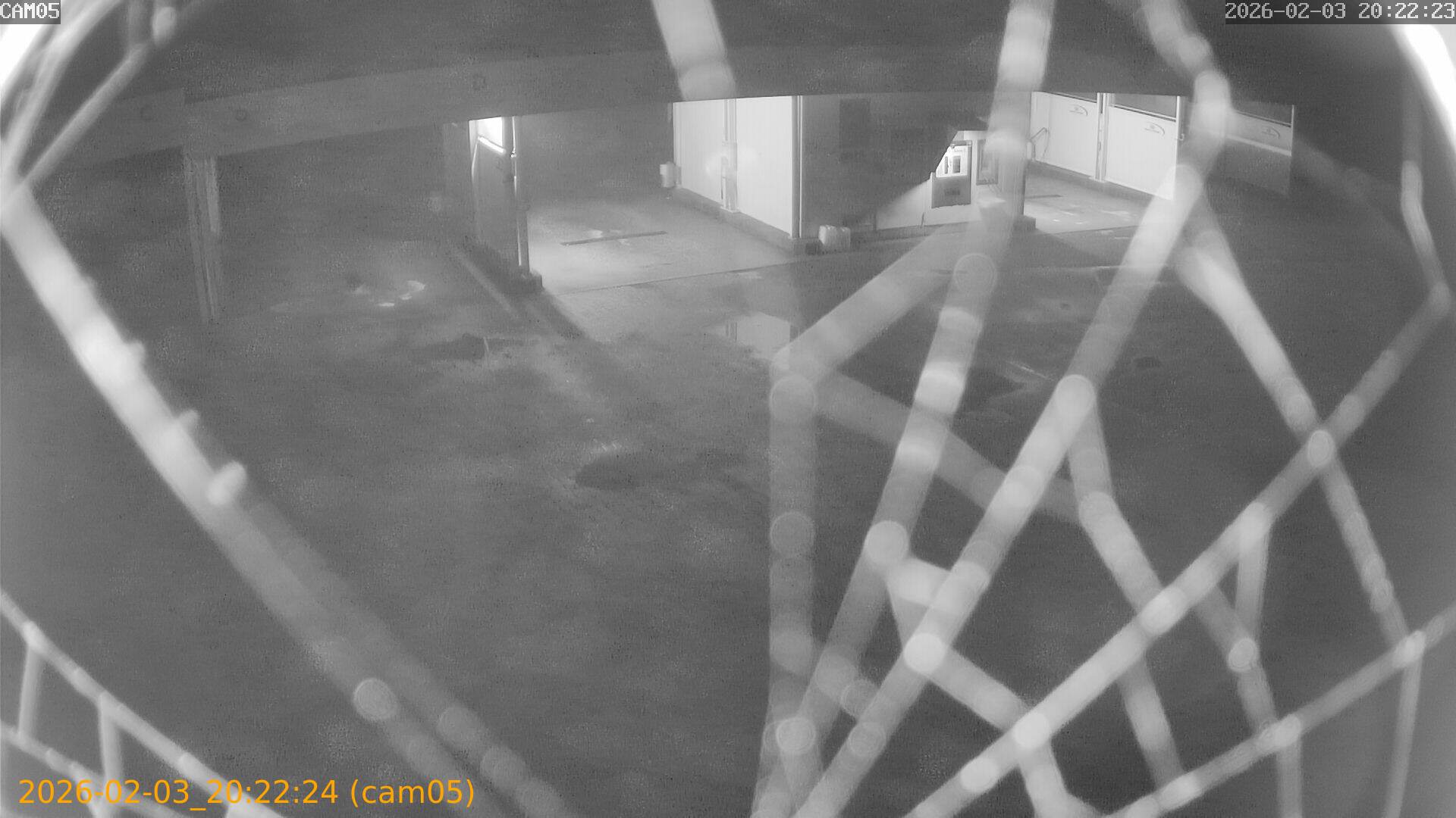 thumbnail_20260203202224