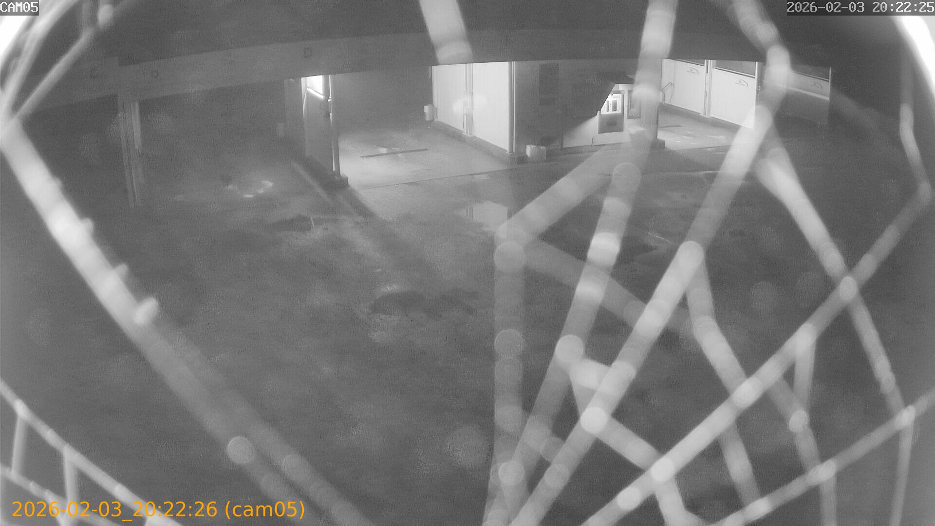 thumbnail_20260203202226