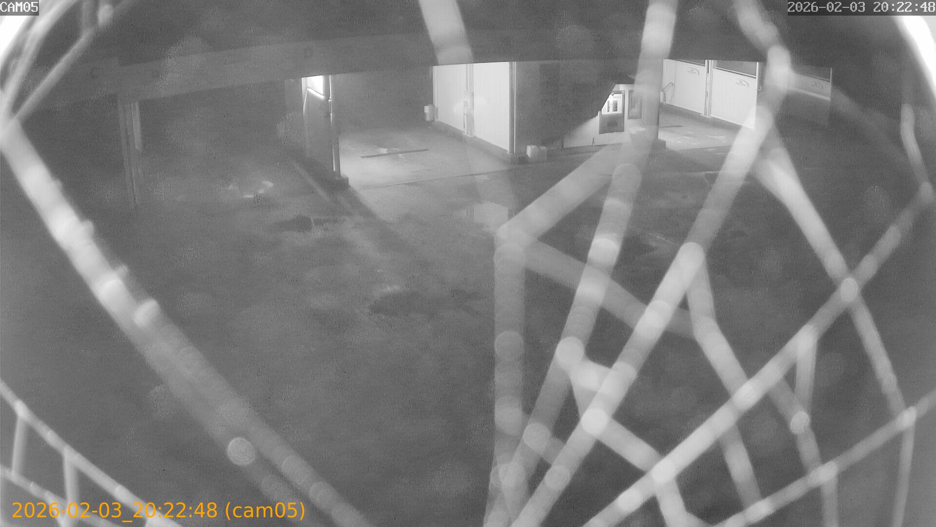 thumbnail_20260203202248