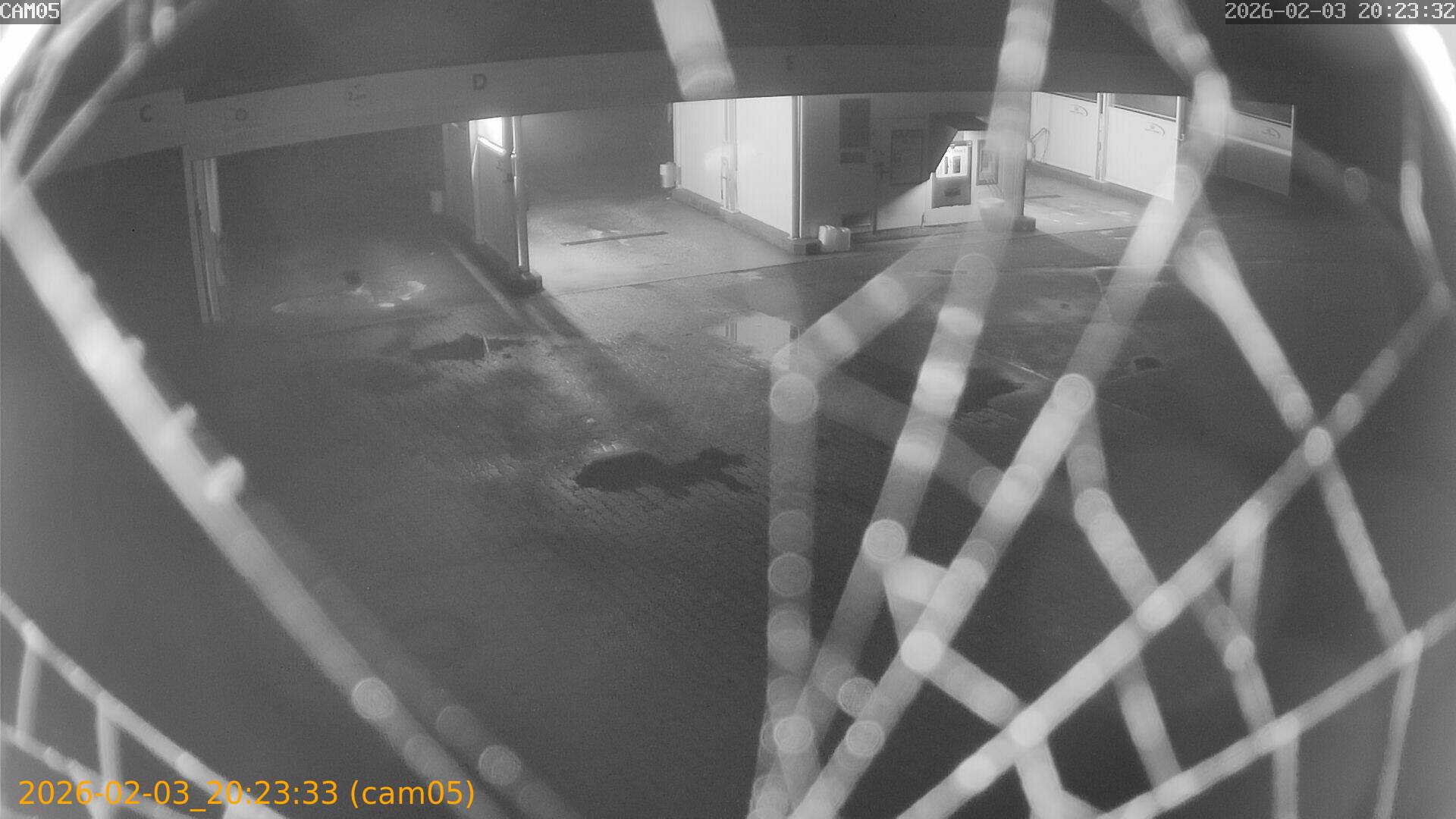 thumbnail_20260203202333