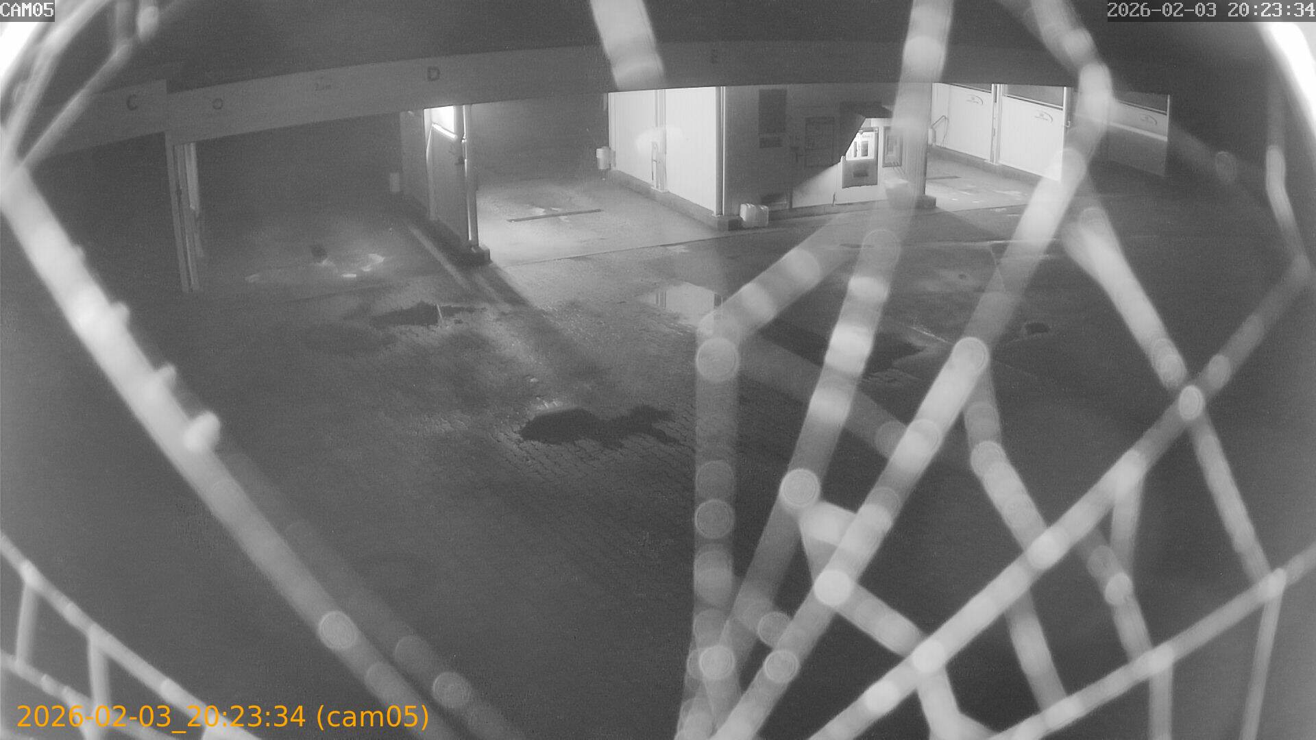 thumbnail_20260203202334