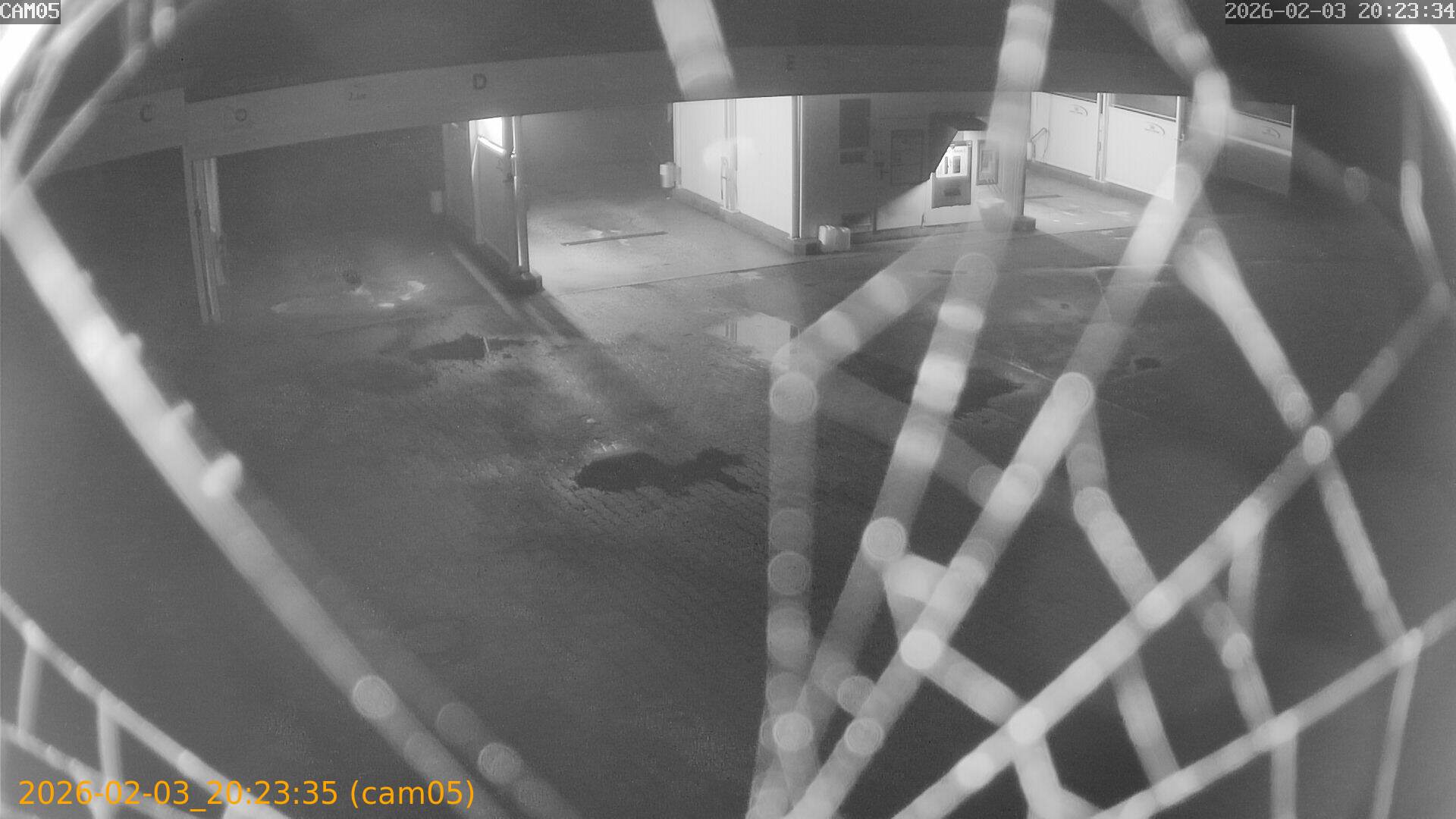 thumbnail_20260203202335