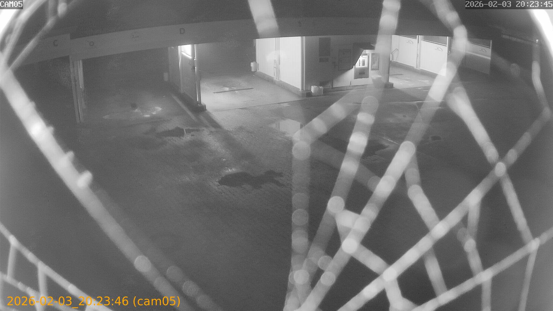 thumbnail_20260203202346