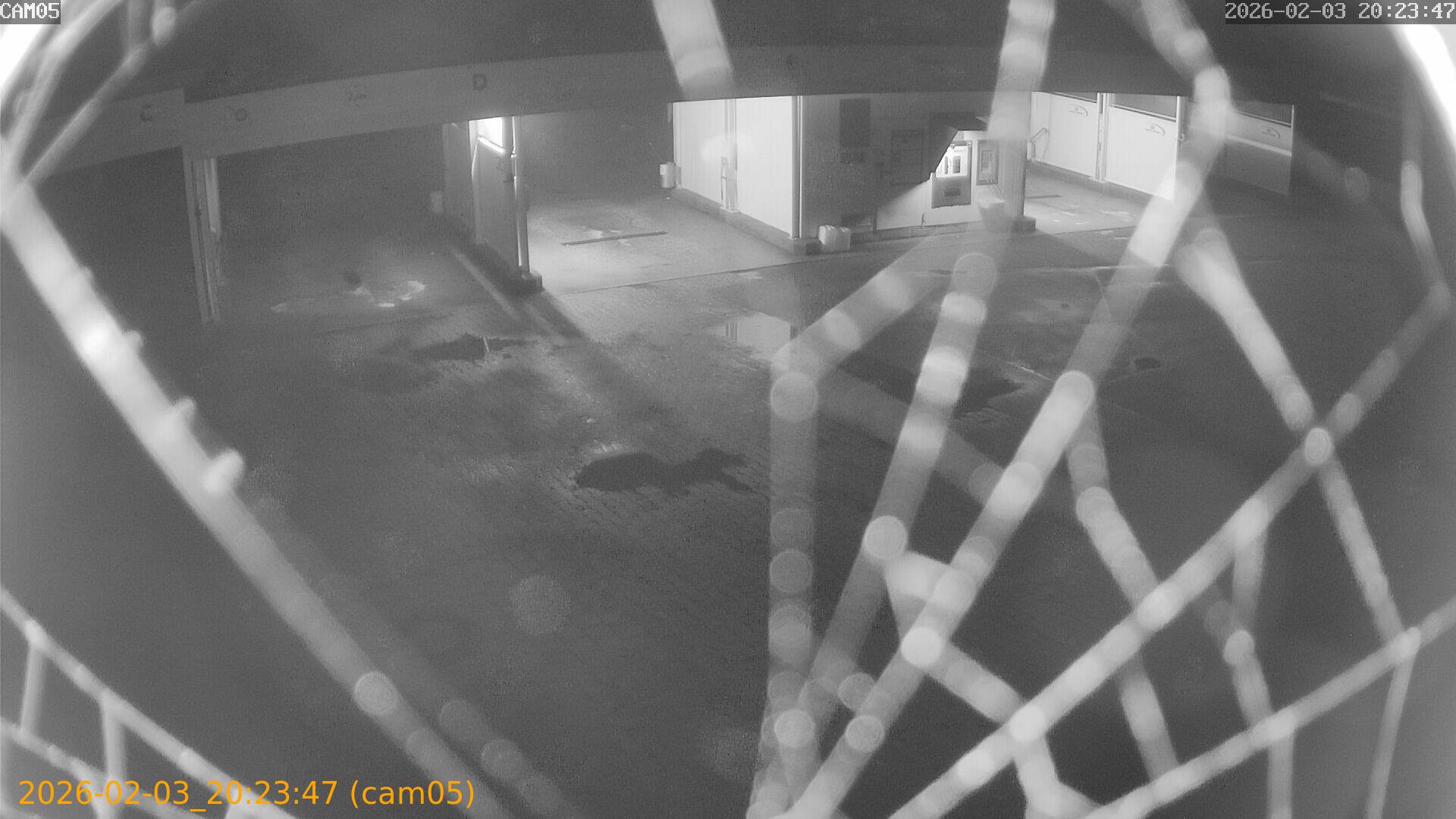 thumbnail_20260203202347