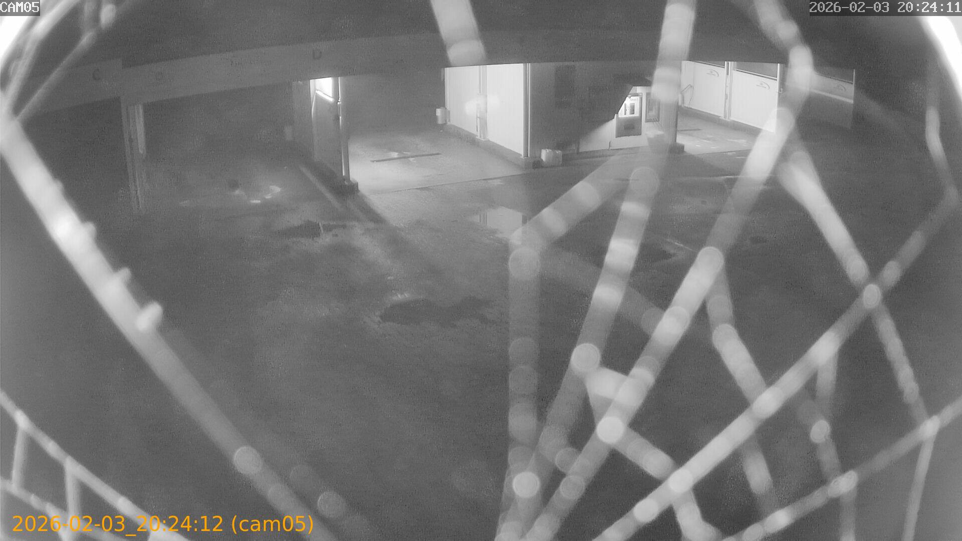 thumbnail_20260203202412