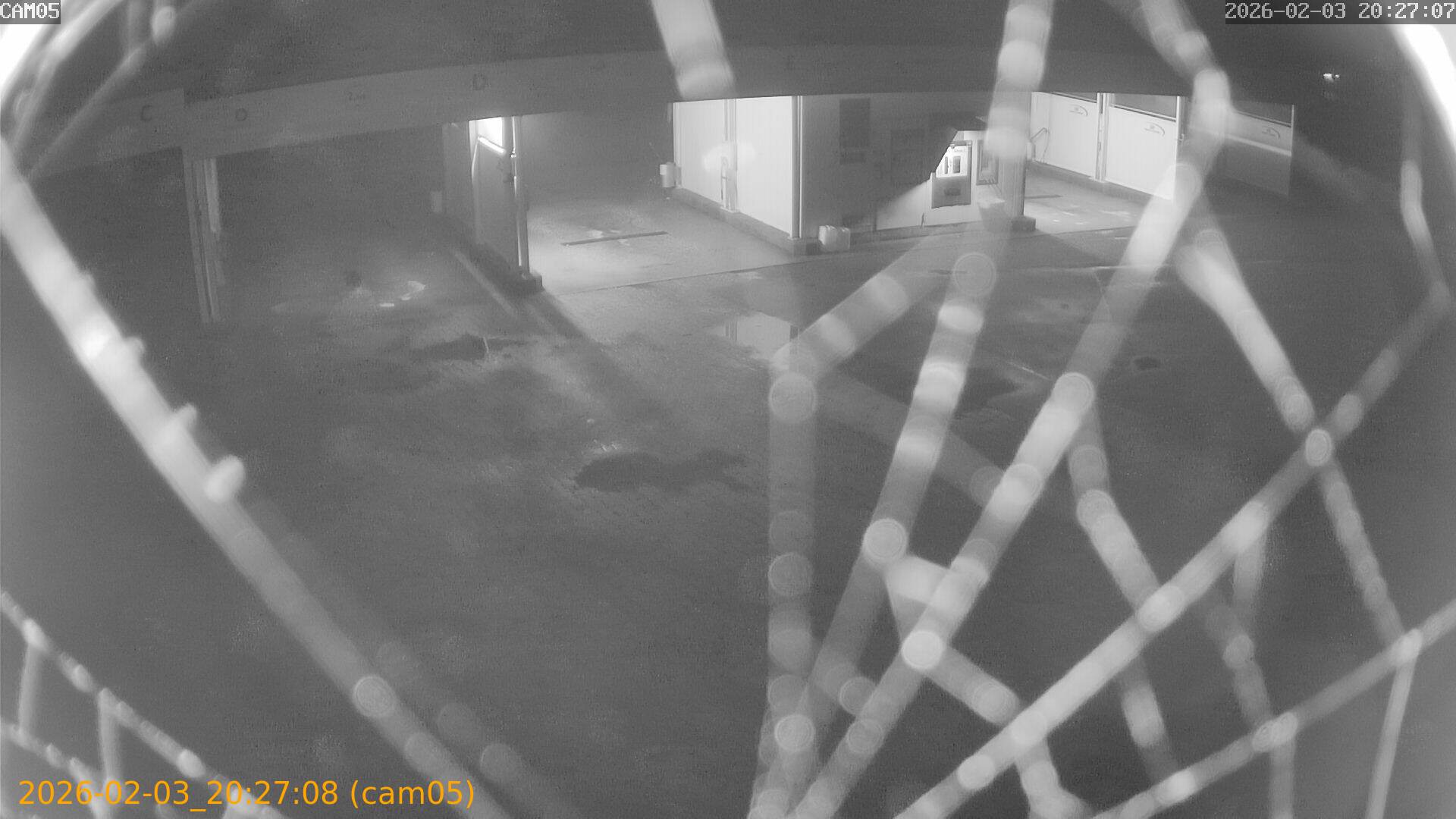 thumbnail_20260203202708