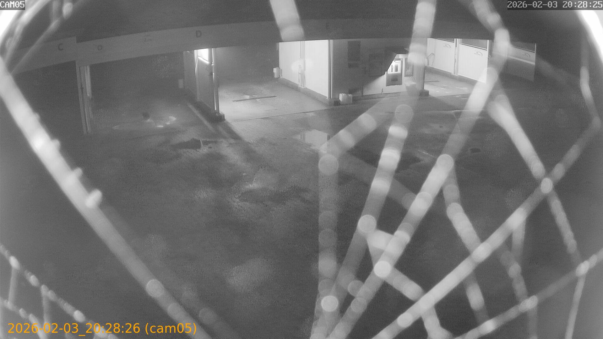 thumbnail_20260203202826