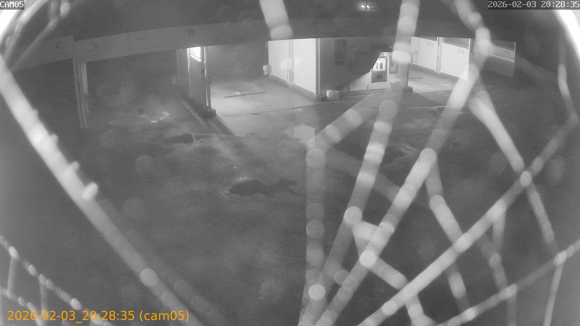 thumbnail_20260203202835