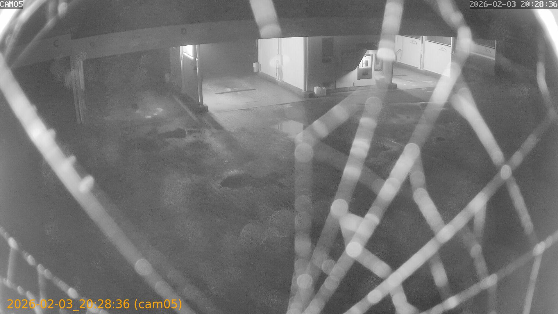 thumbnail_20260203202836