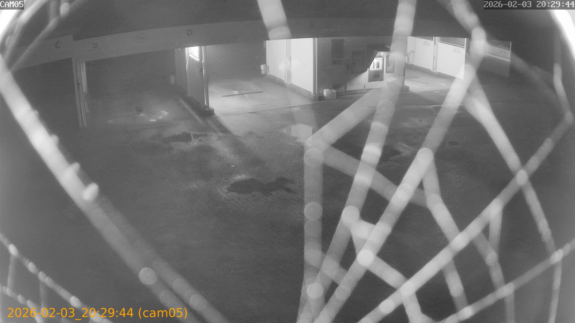 thumbnail_20260203202944