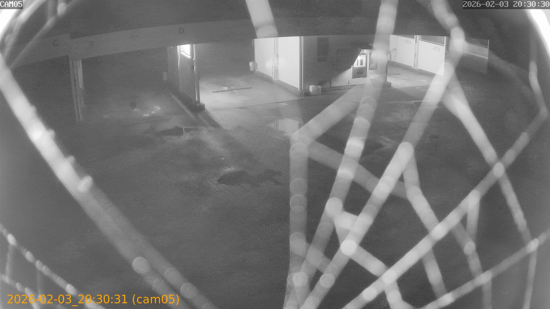 thumbnail_20260203203031