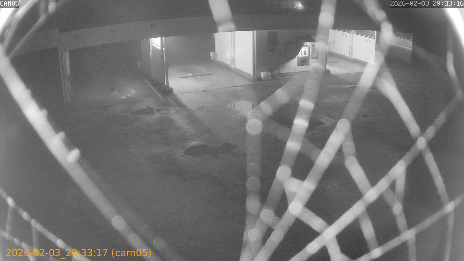 thumbnail_20260203203317