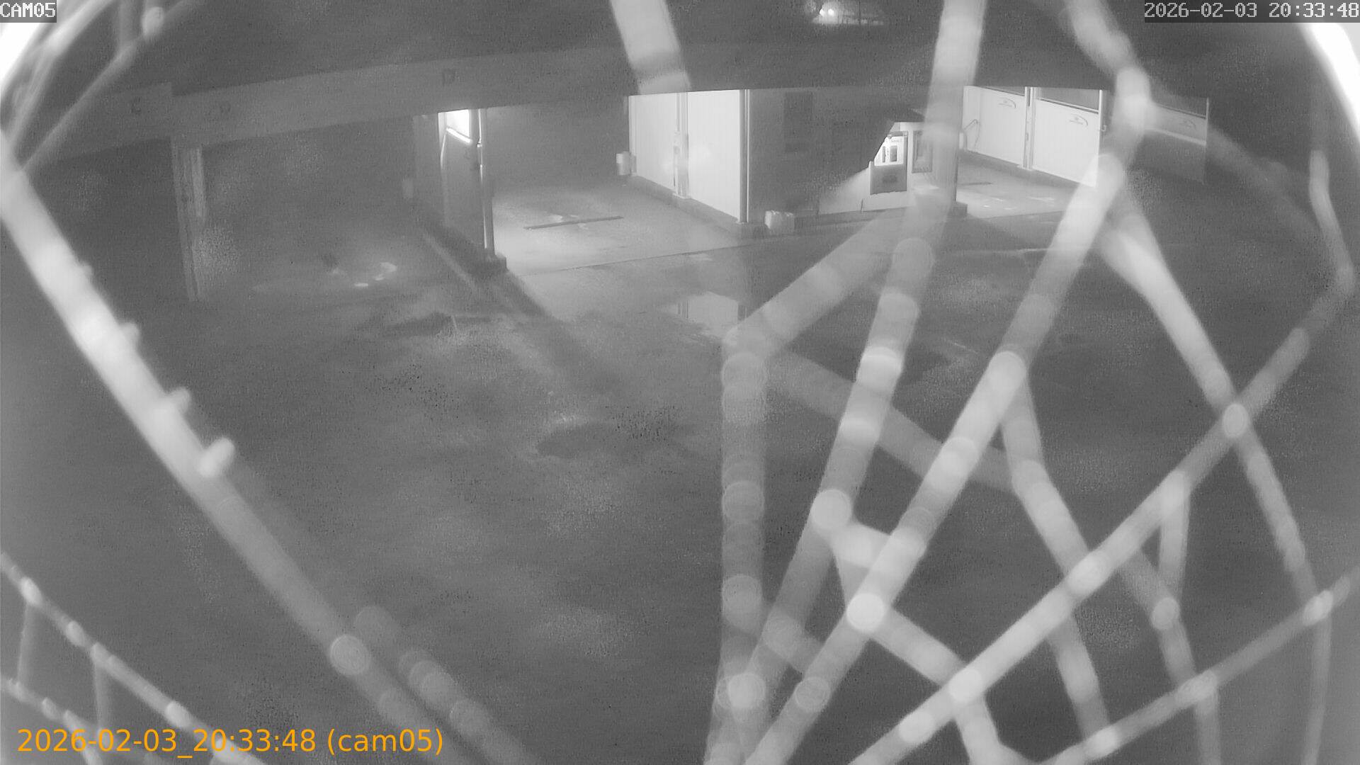 thumbnail_20260203203348