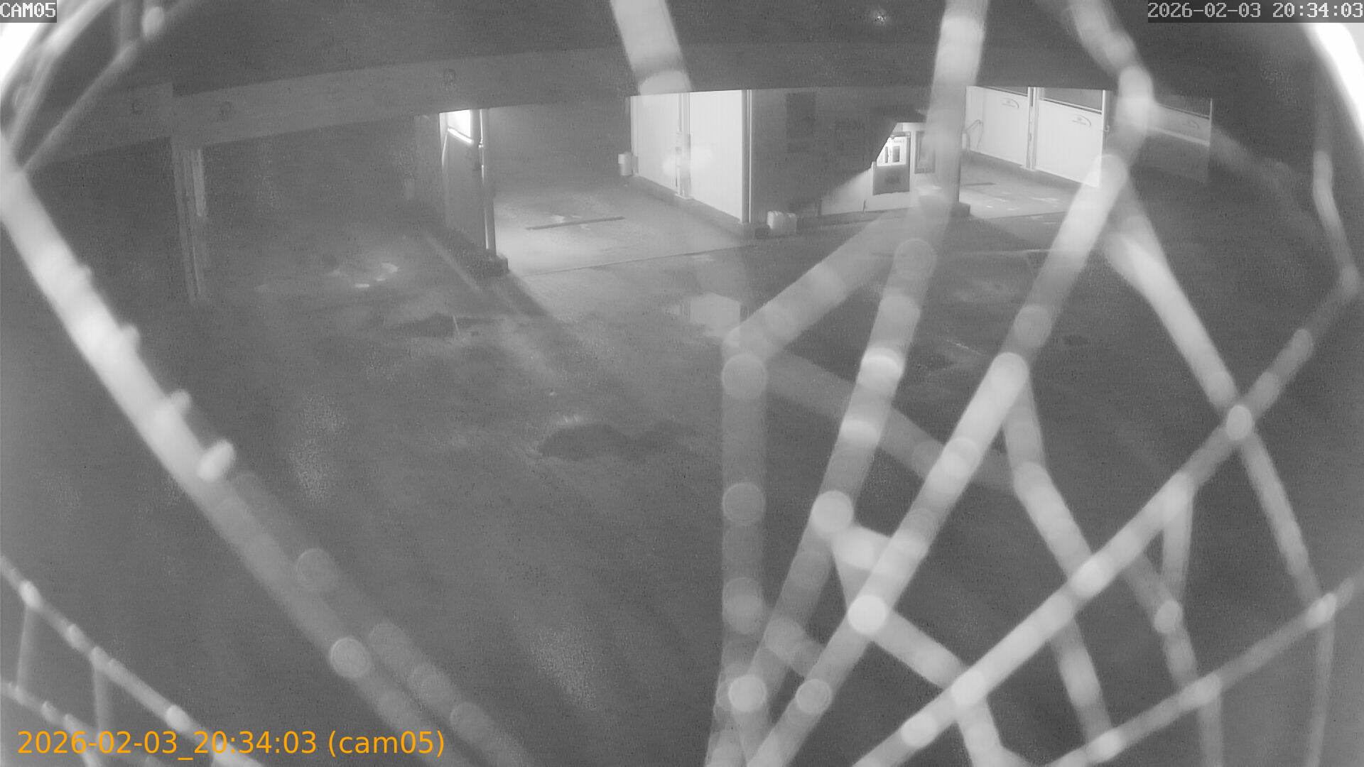 thumbnail_20260203203403