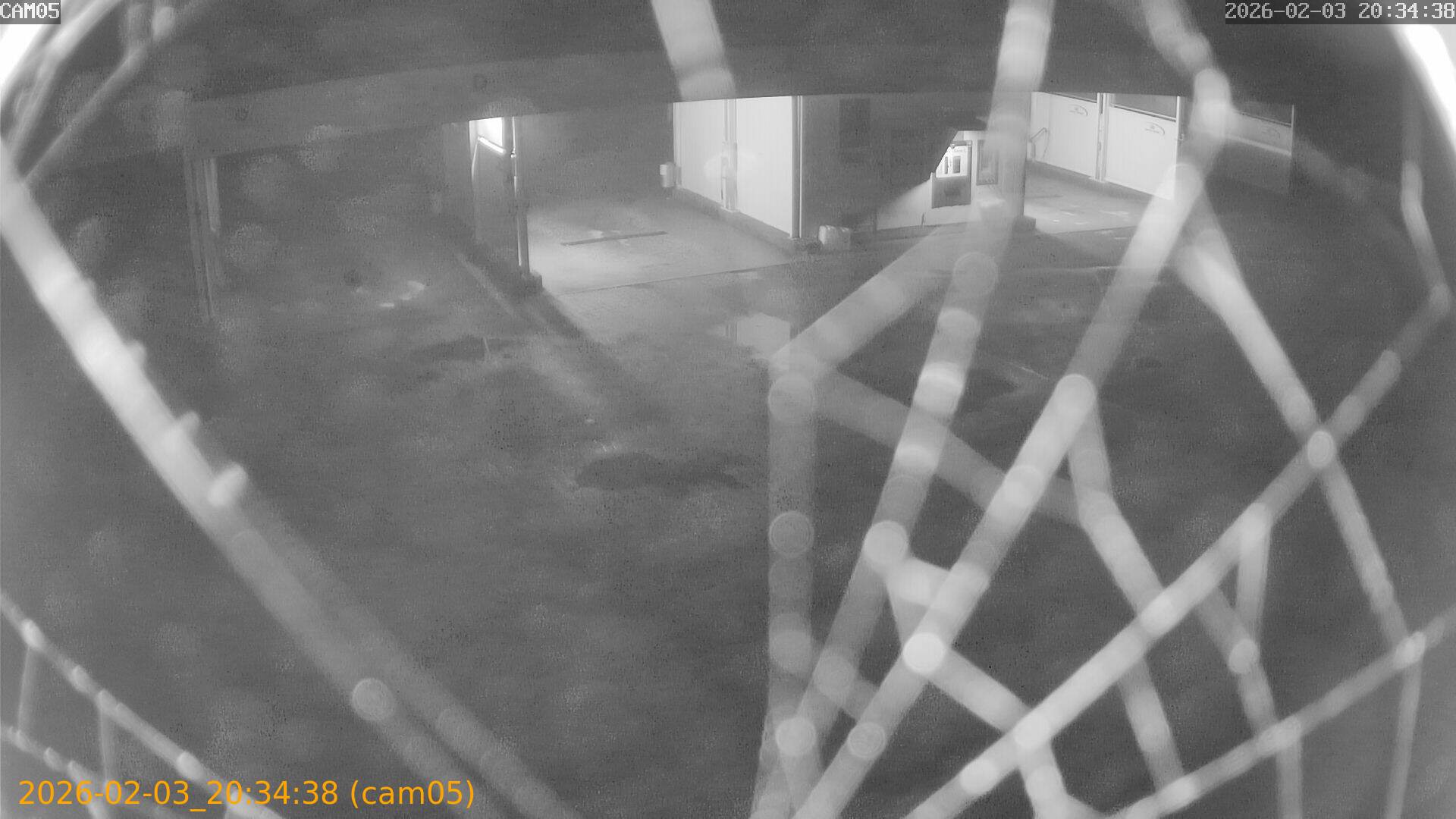 thumbnail_20260203203438