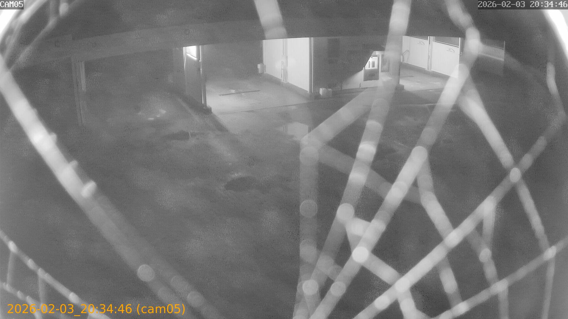 thumbnail_20260203203446