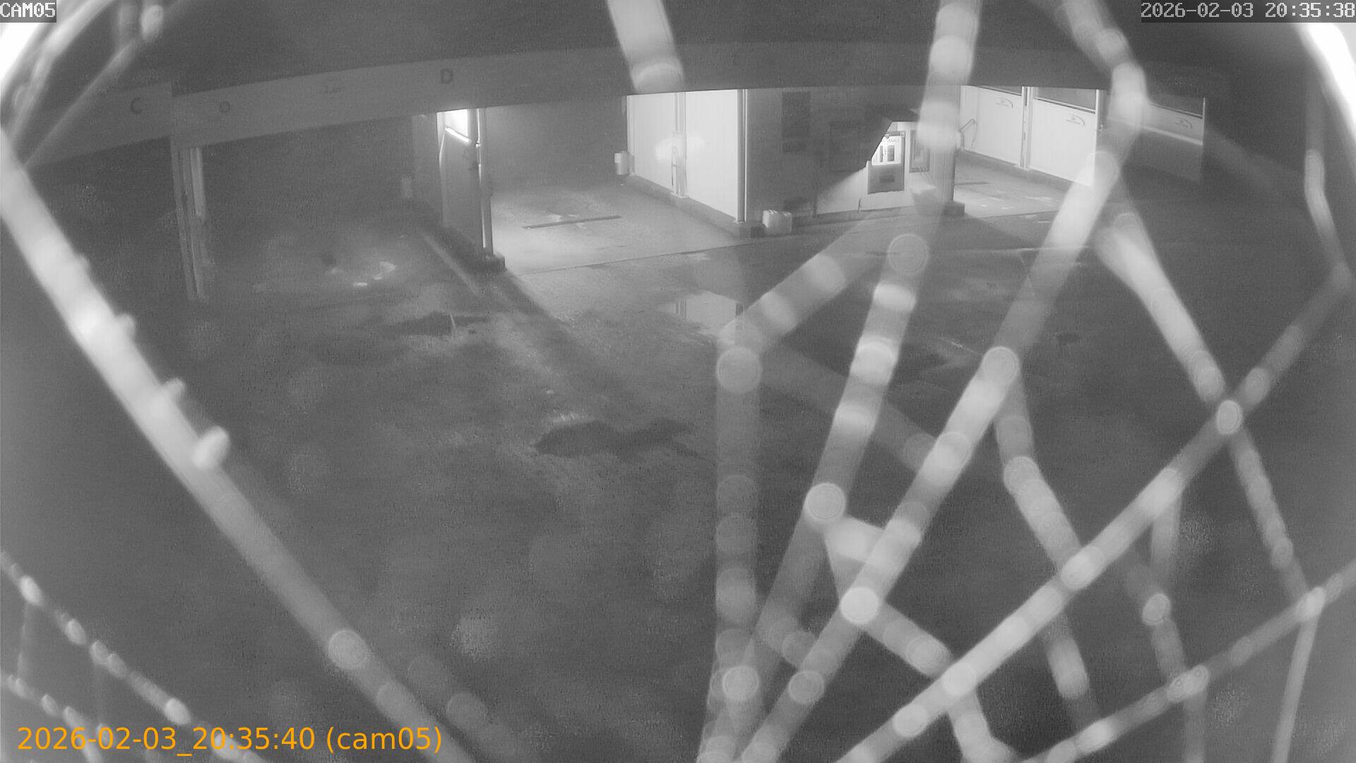 thumbnail_20260203203540