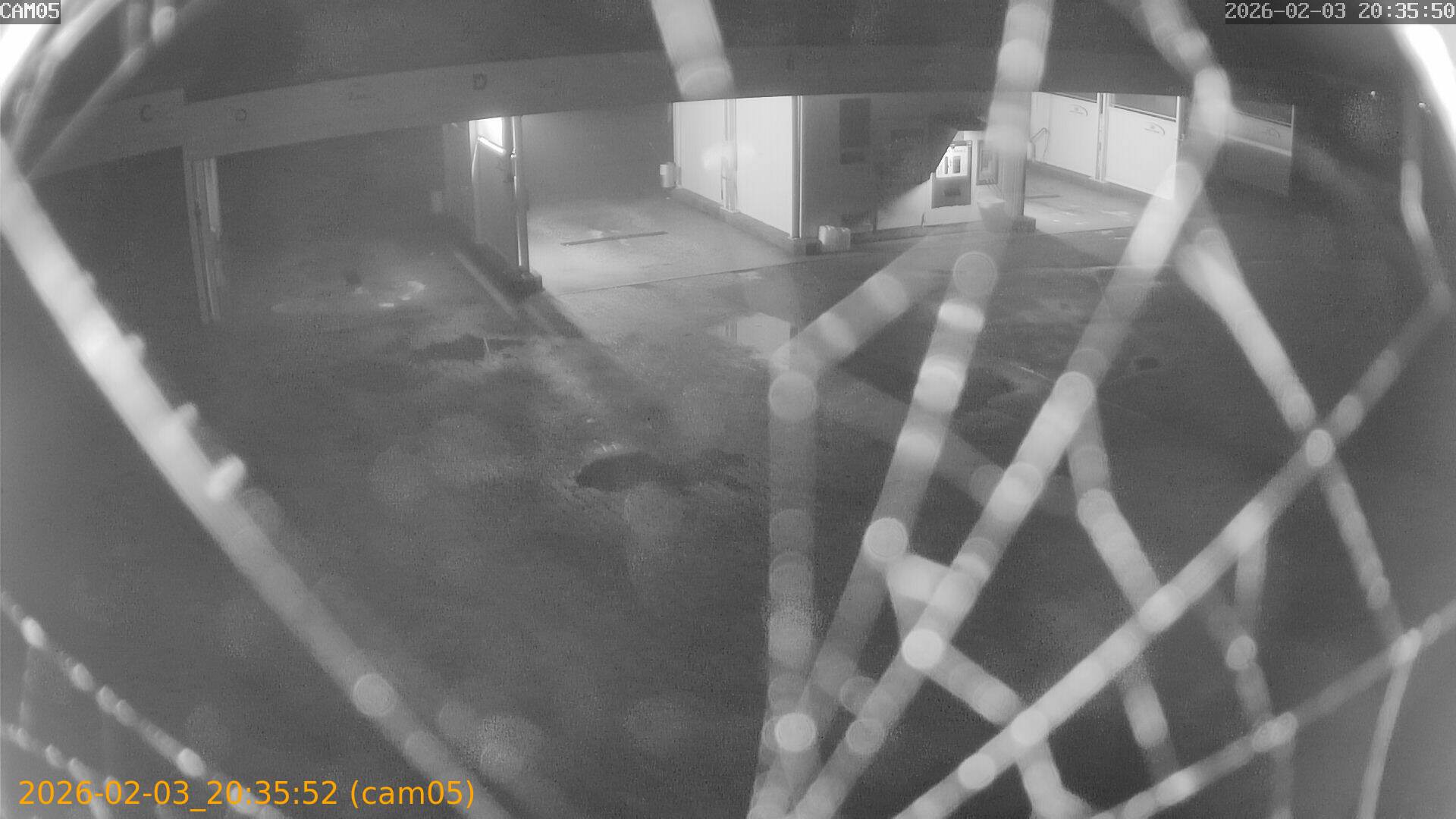 thumbnail_20260203203552