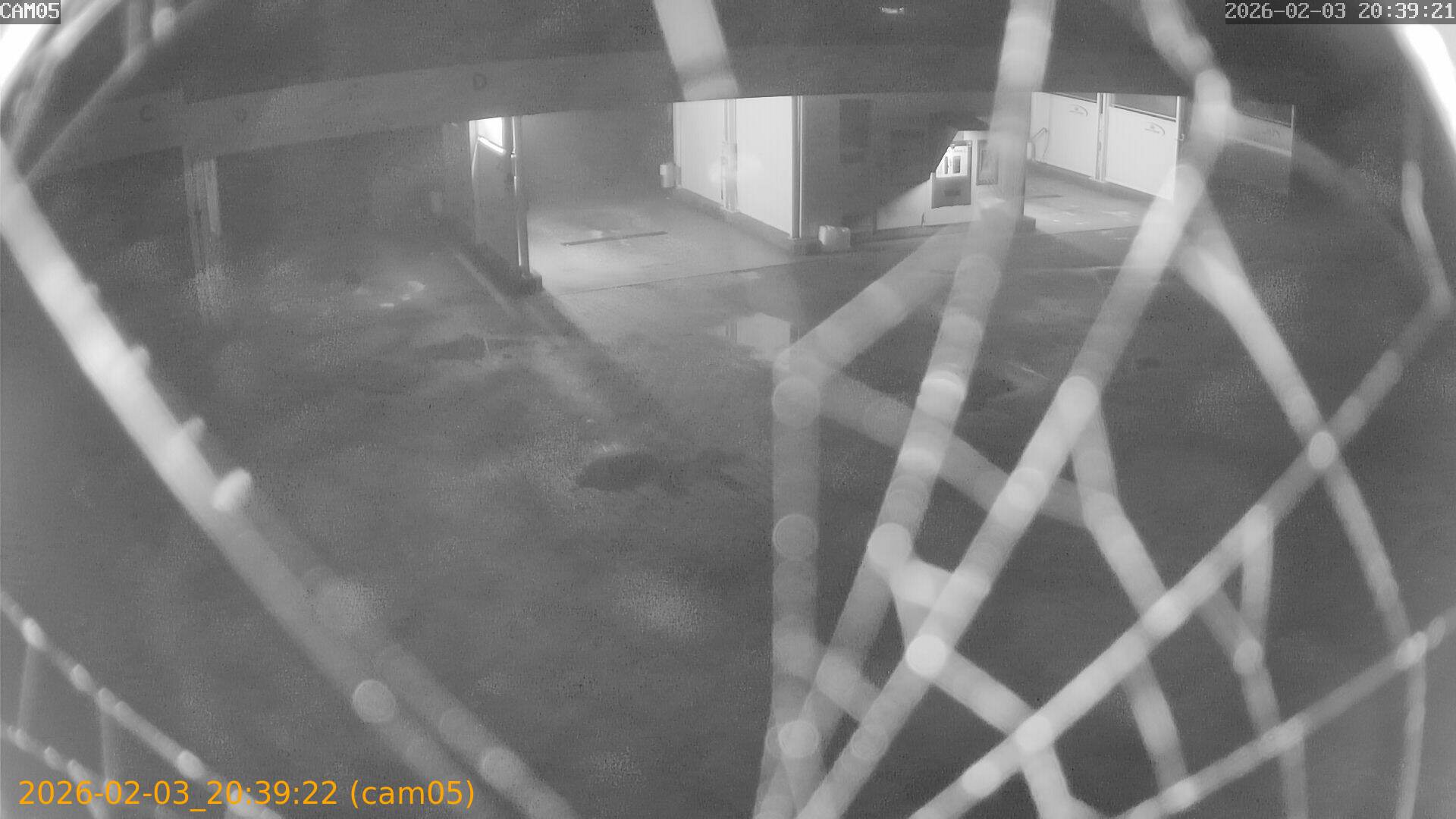 thumbnail_20260203203922