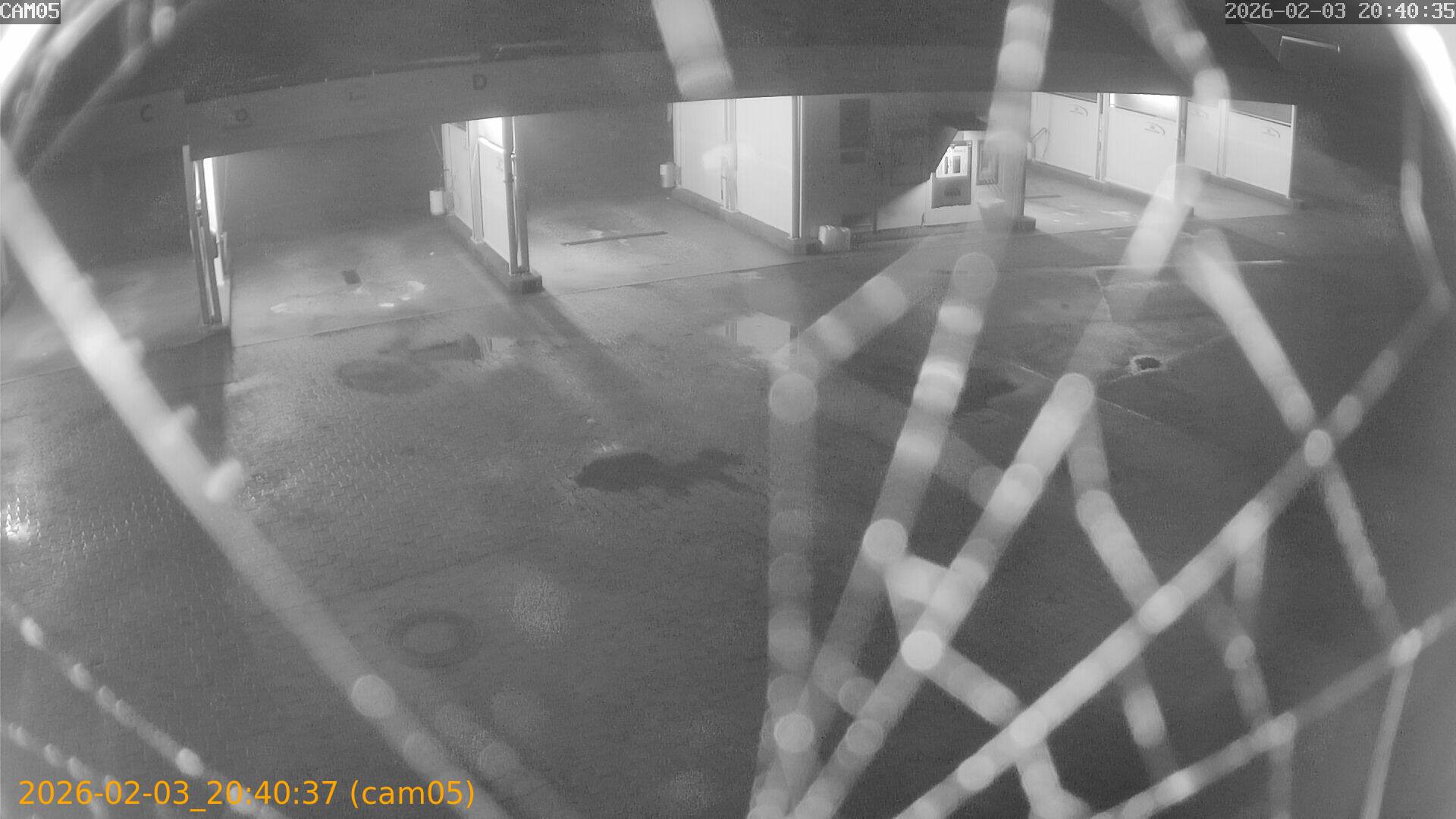 thumbnail_20260203204036