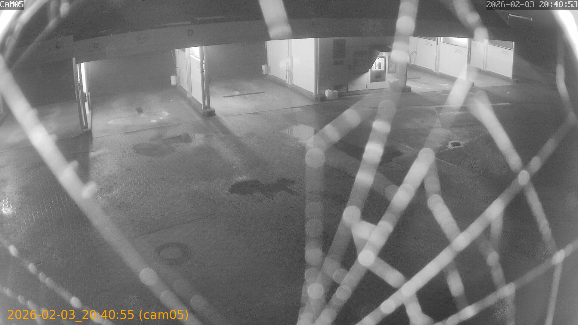 thumbnail_20260203204055