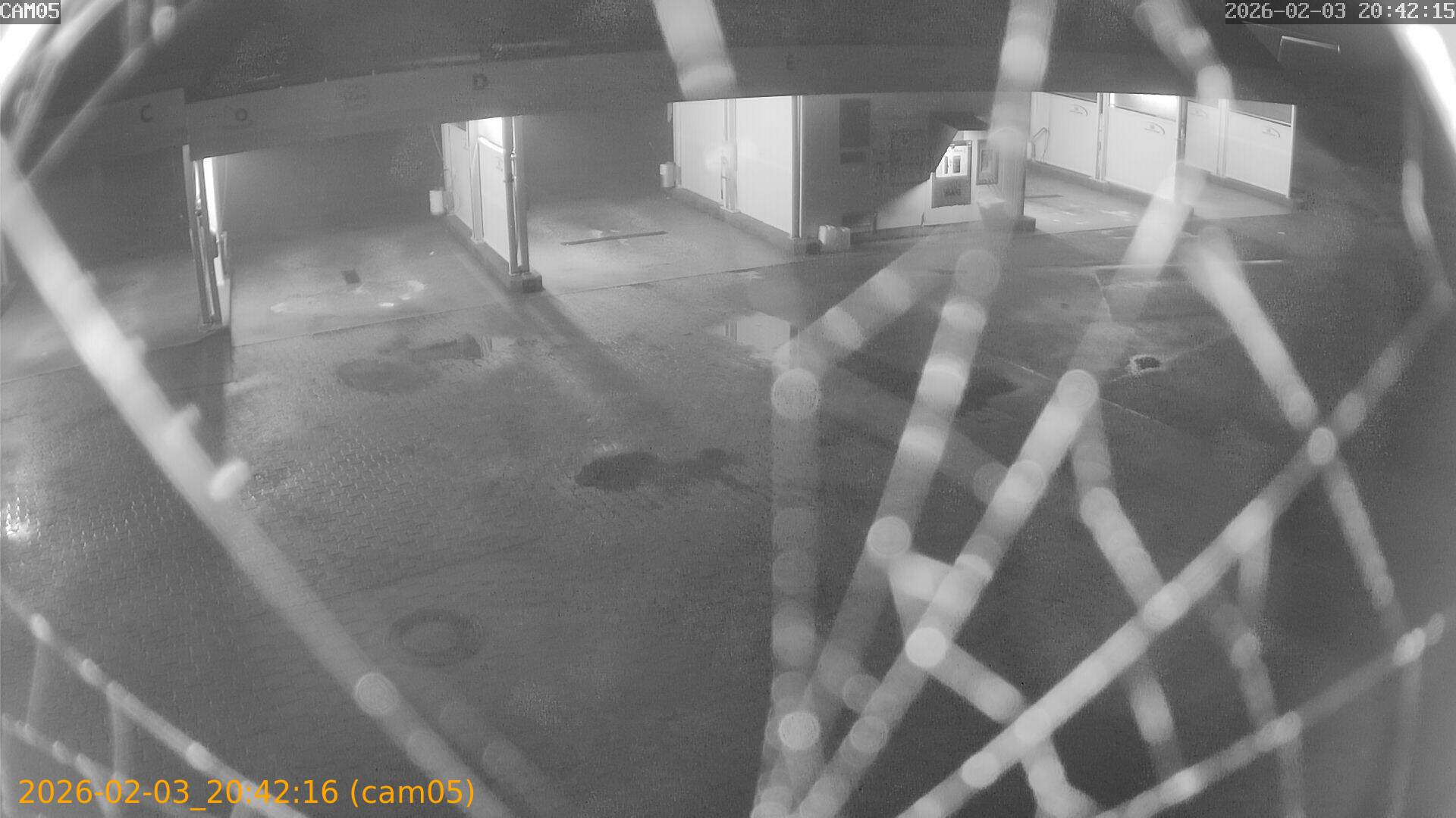 thumbnail_20260203204216