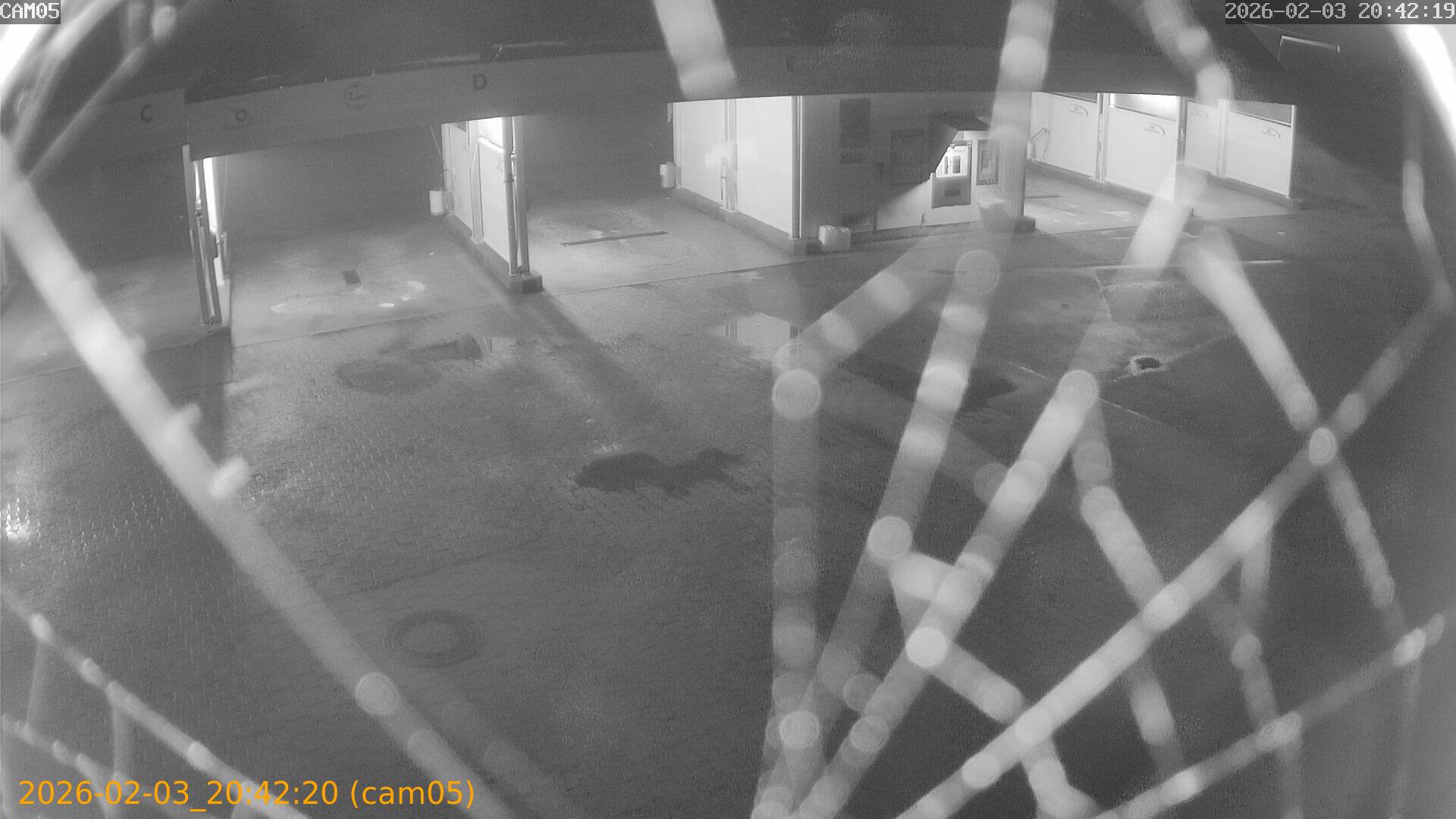 thumbnail_20260203204220