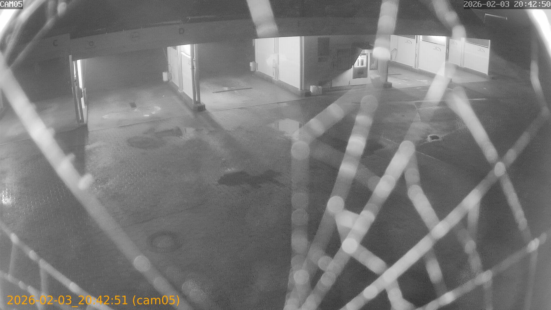 thumbnail_20260203204251