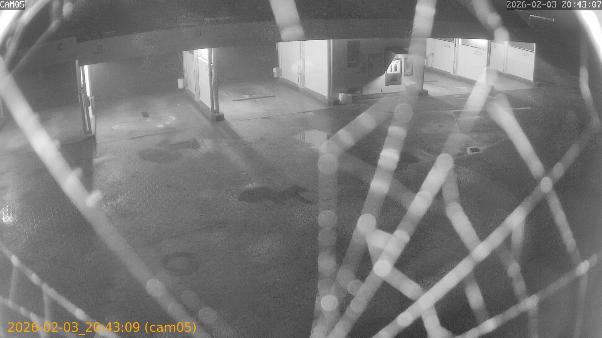 thumbnail_20260203204309