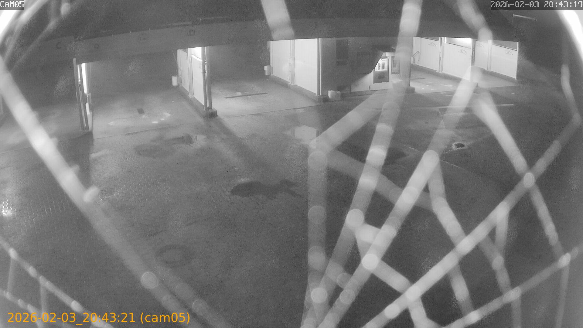 thumbnail_20260203204321