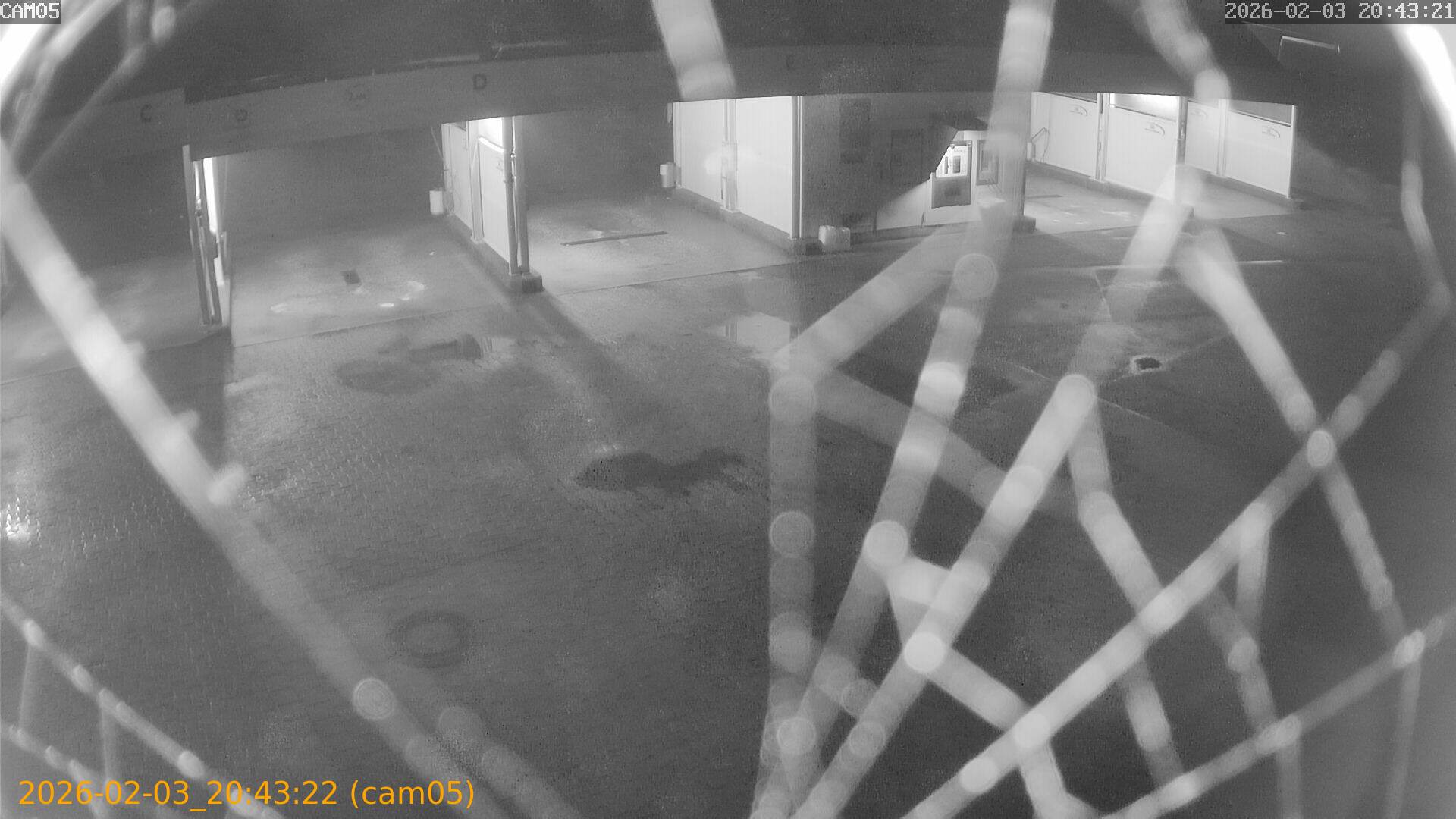 thumbnail_20260203204322