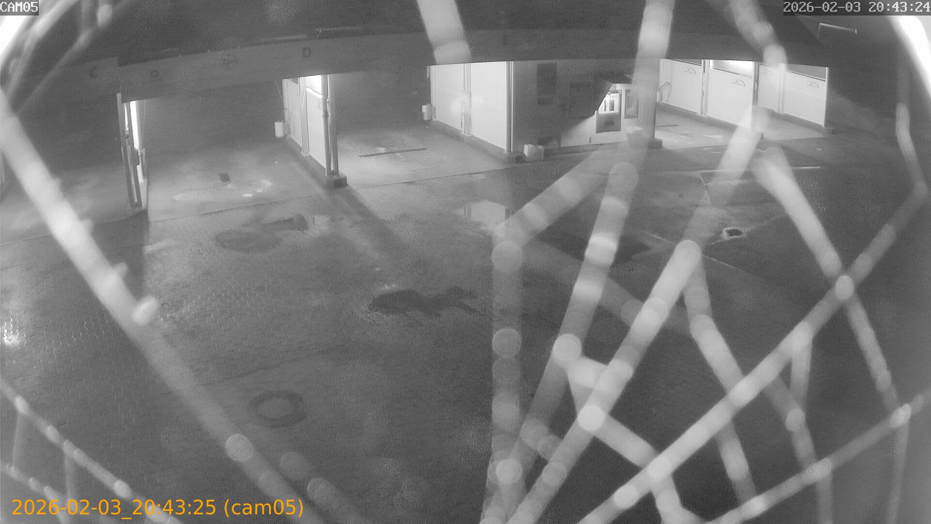 thumbnail_20260203204325