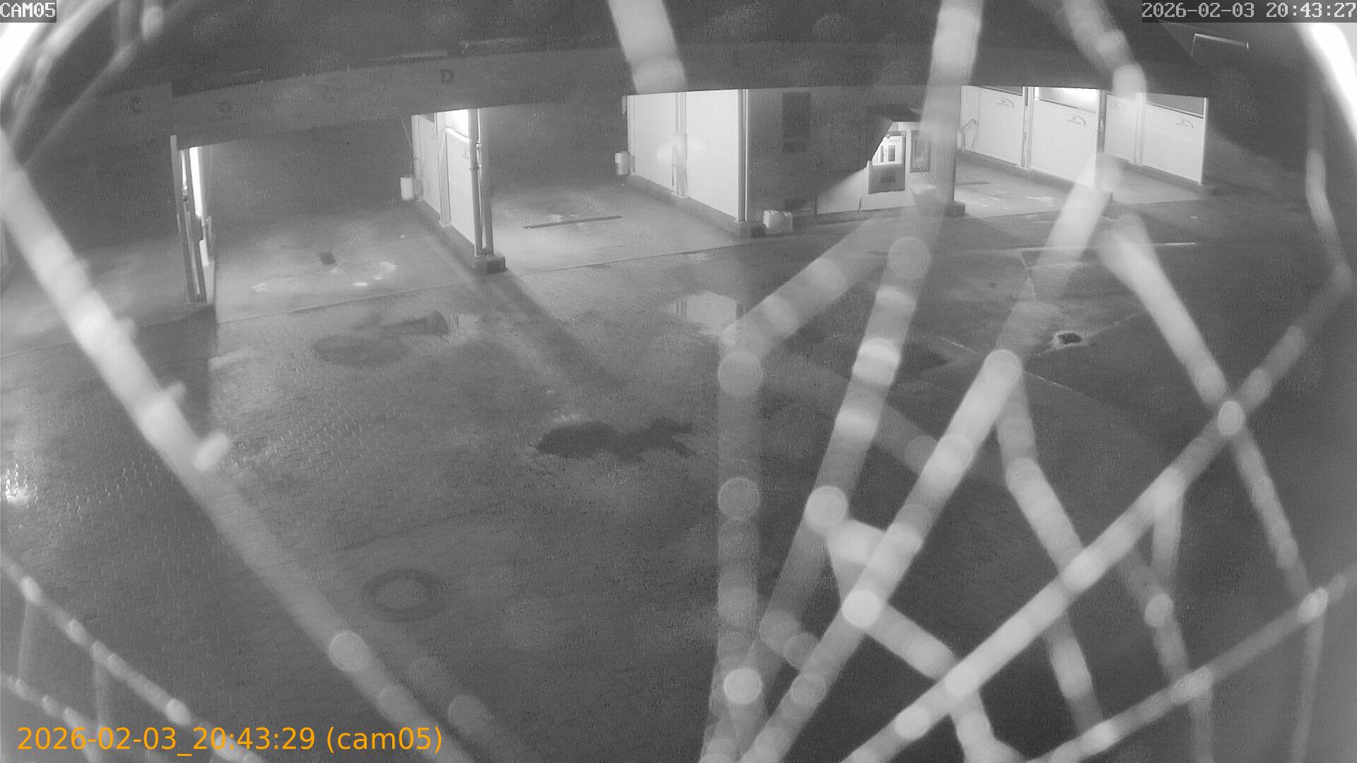 thumbnail_20260203204329