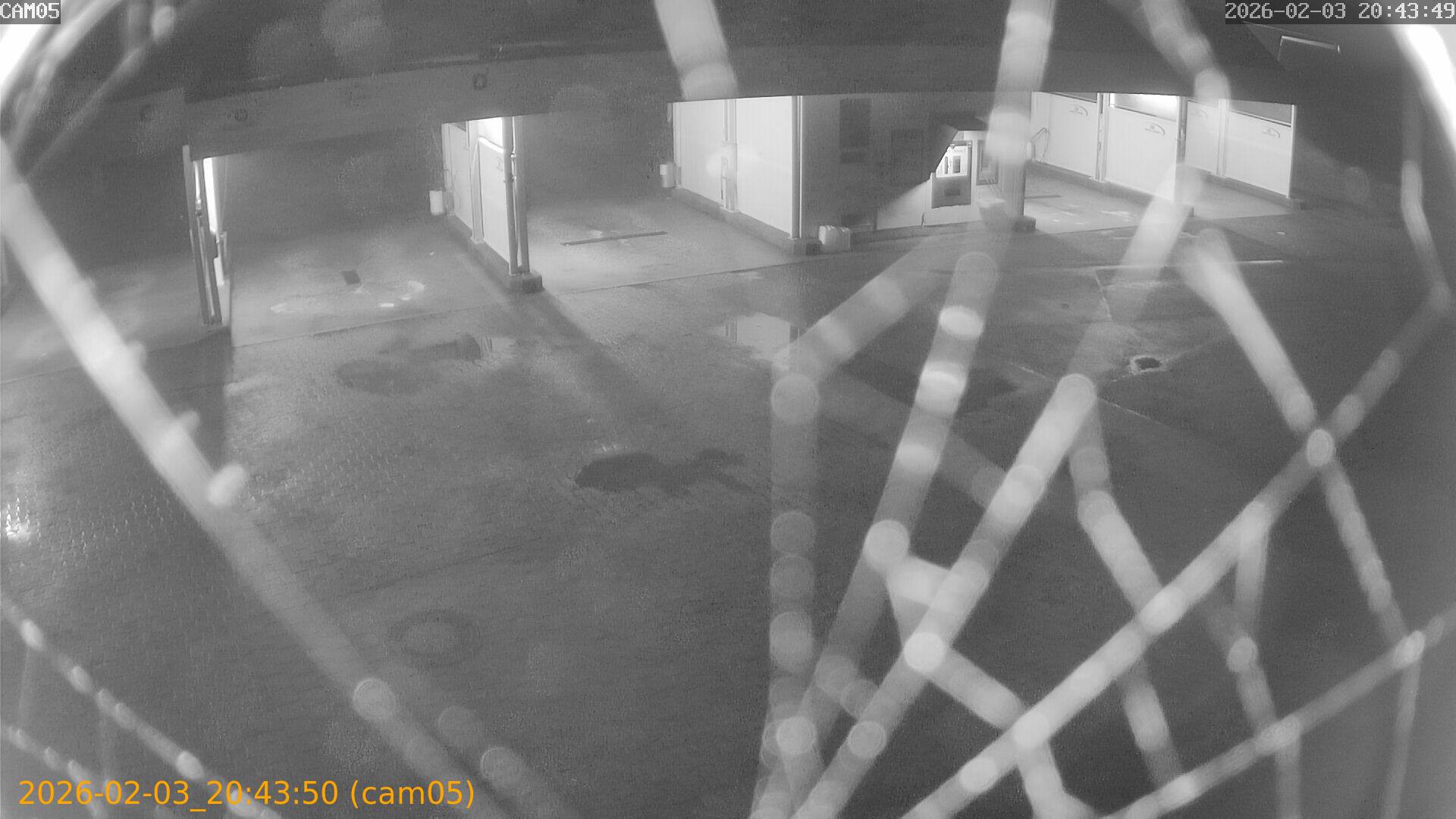 thumbnail_20260203204350