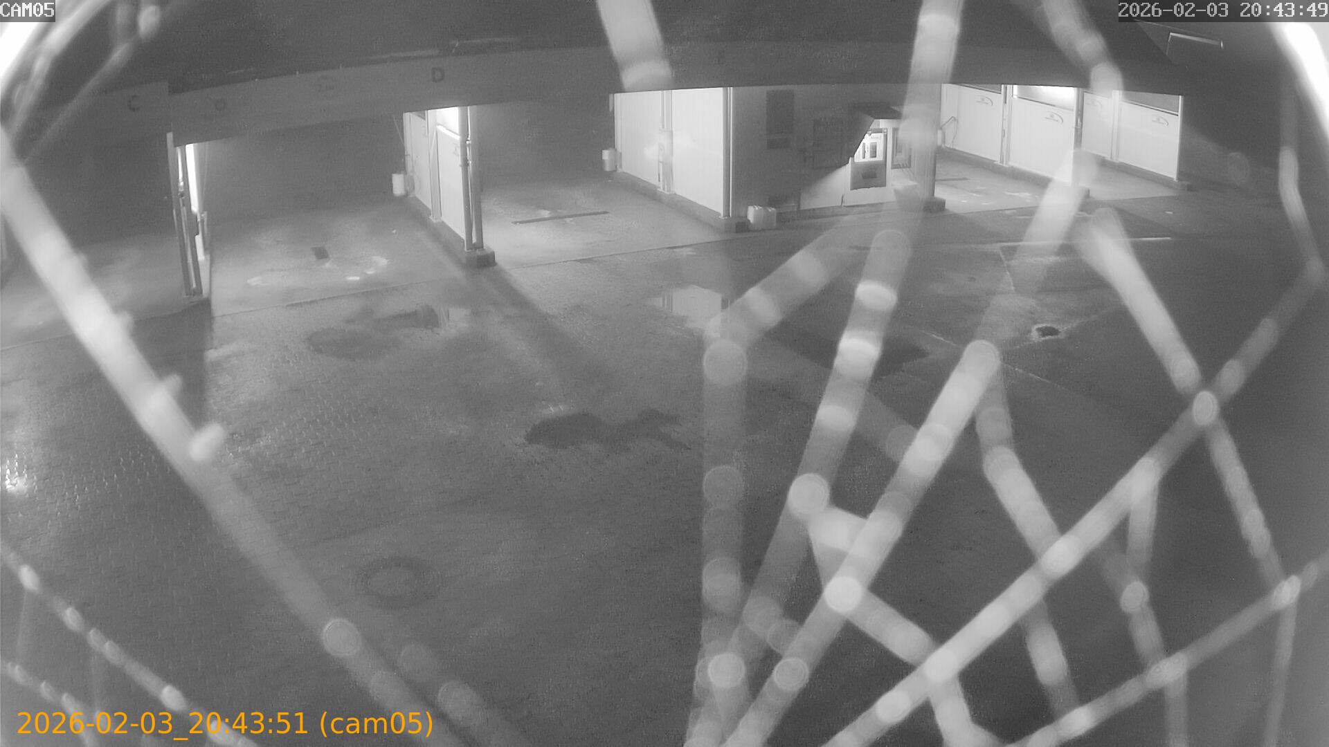 thumbnail_20260203204351