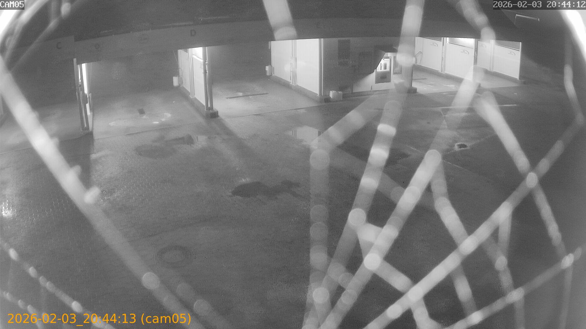 thumbnail_20260203204413