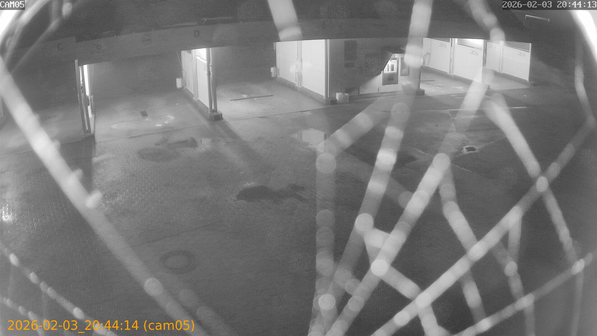 thumbnail_20260203204414