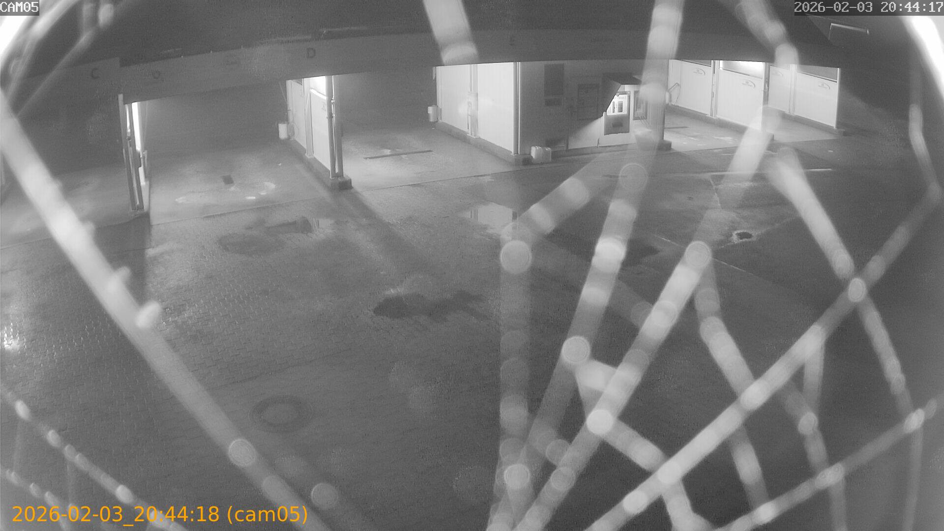 thumbnail_20260203204418