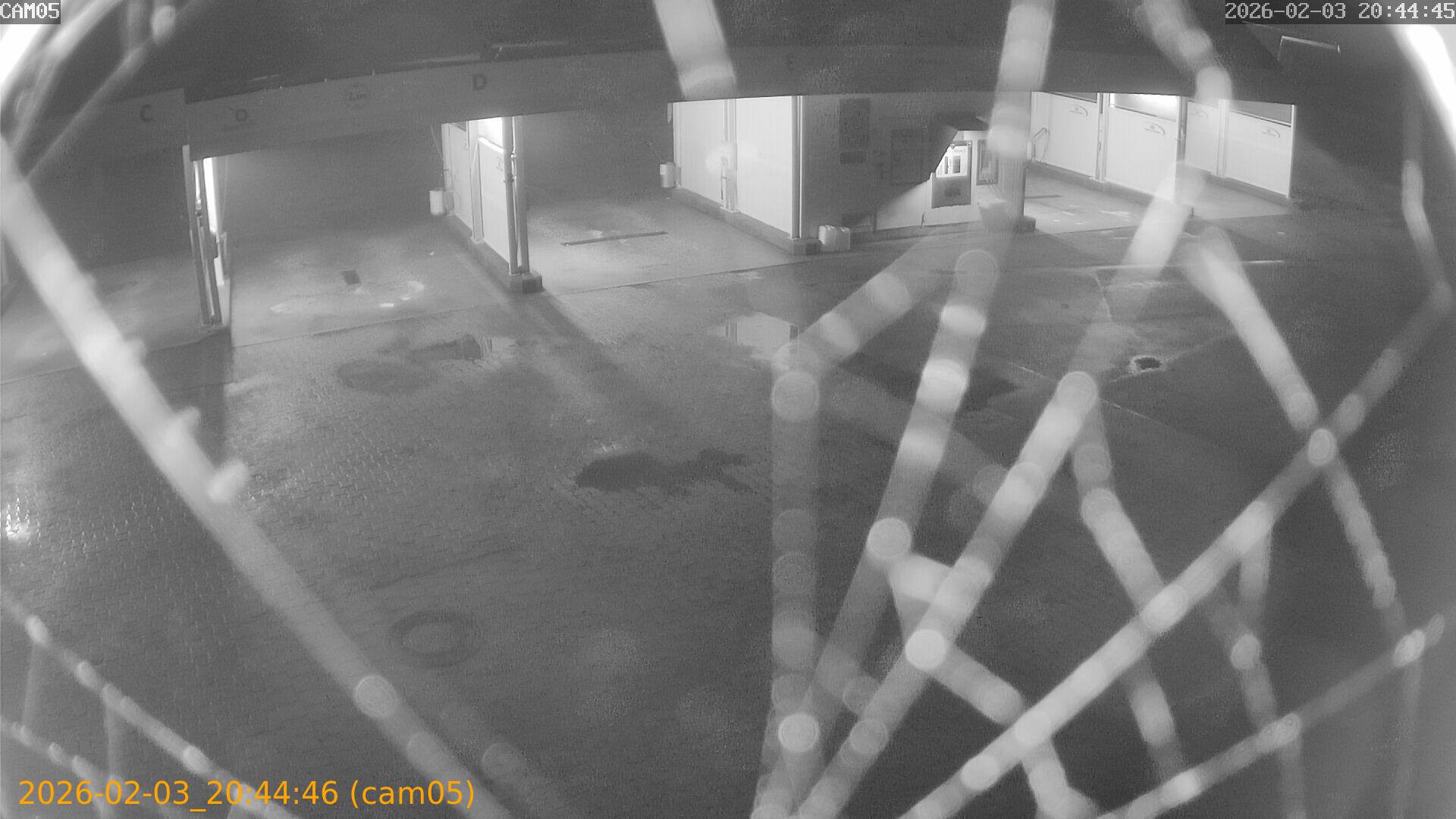 thumbnail_20260203204446