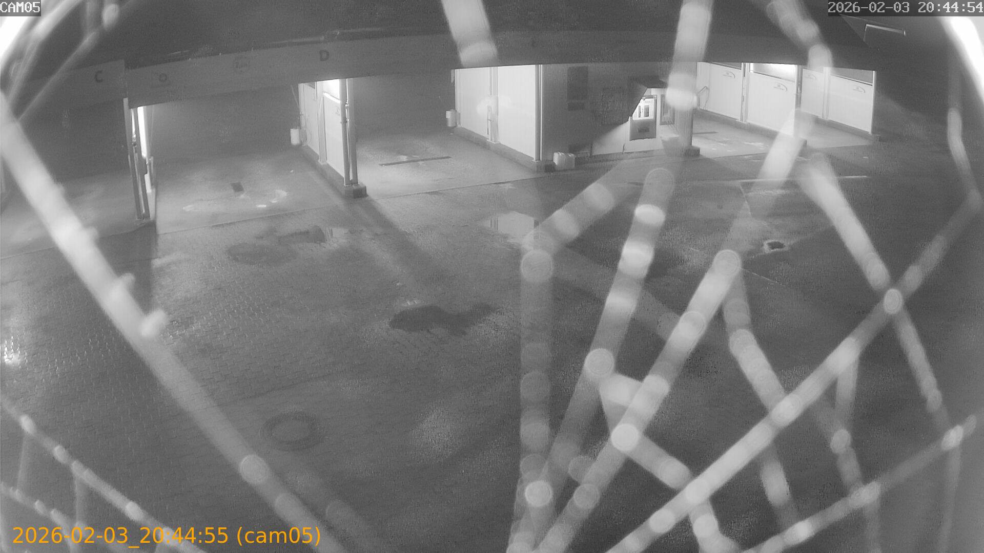 thumbnail_20260203204455