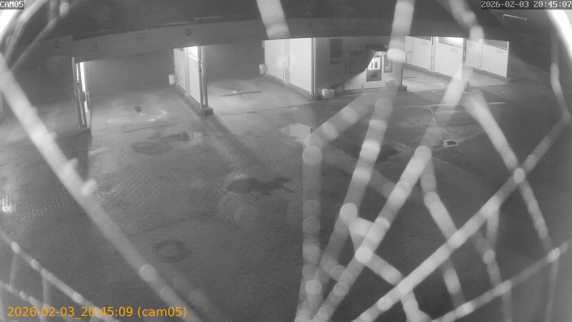 thumbnail_20260203204509