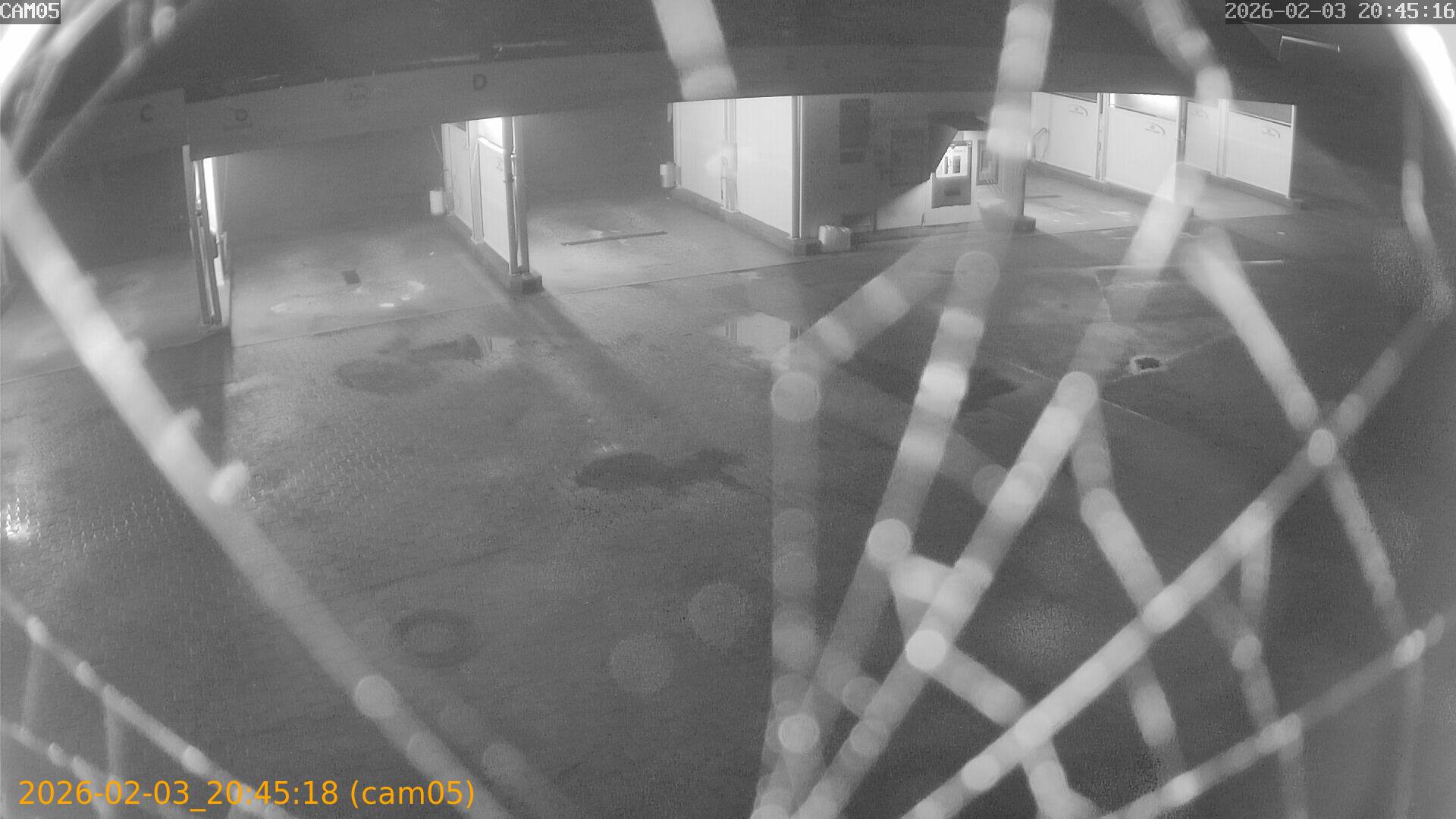 thumbnail_20260203204518